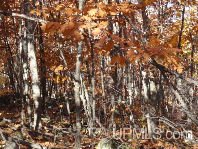 Tbd Tbd Off Townline Road Lanse, MI 49946 - Photo 14 of 18
