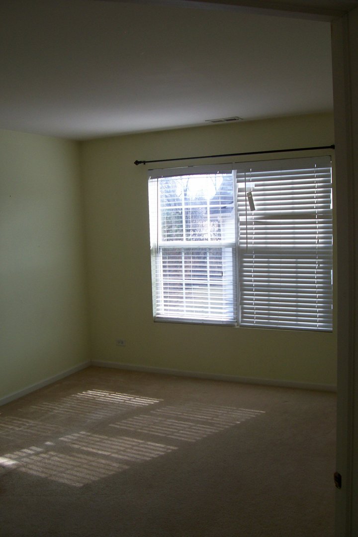 523 North Red Deer Road Round Lake, IL 60073 - Photo 11 of 14 a view of room and window