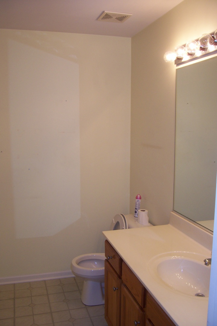 523 North Red Deer Road Round Lake, IL 60073 - Photo 13 of 14 a bathroom with a sink a toilet and vanity