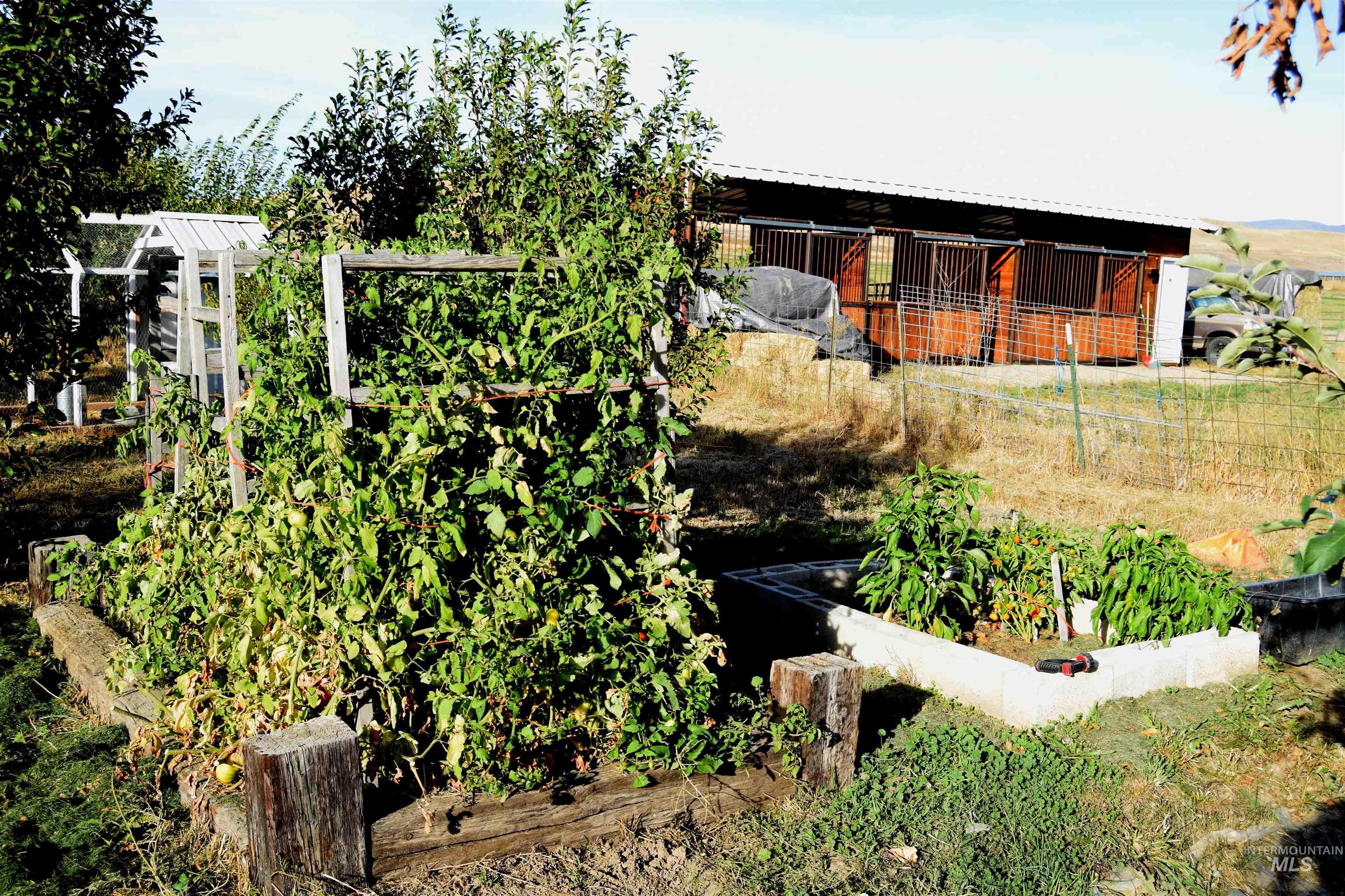 5656 Hillview Road Emmett, ID 83617 - Photo 4 of 6 Gallery Image 4