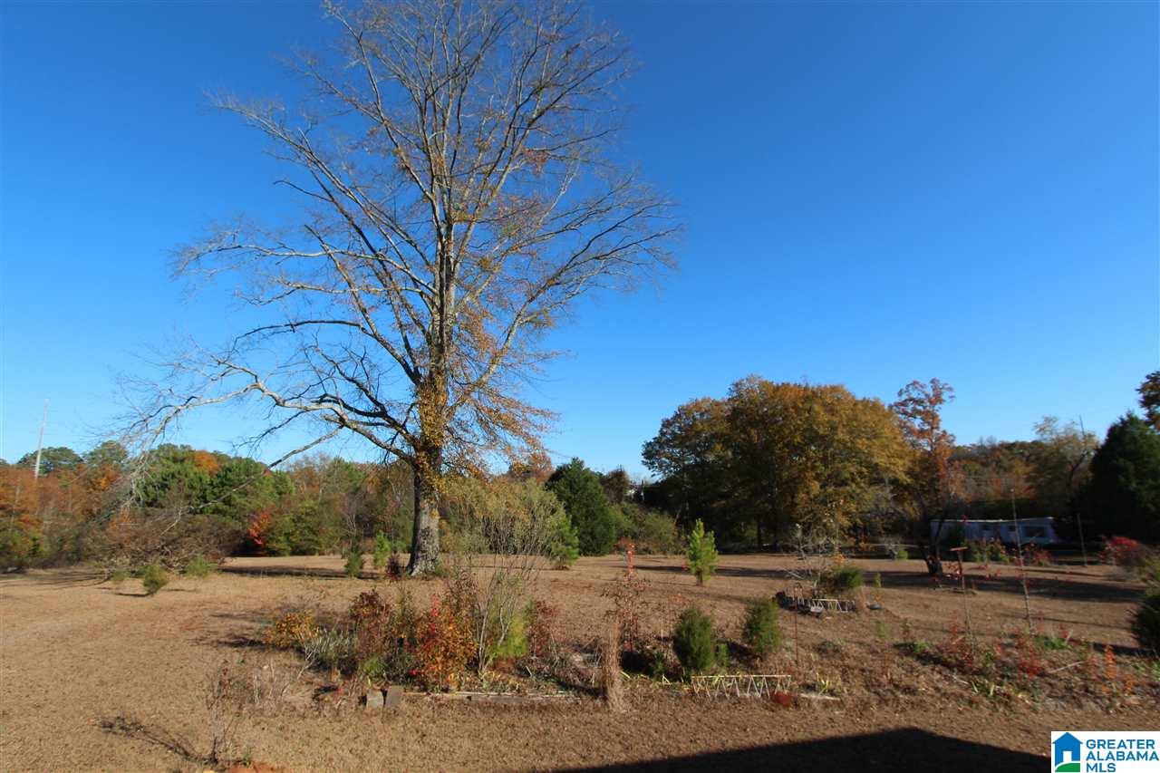 3800 Silver Run Road Oxford, AL 36203 - Photo 33 of 37