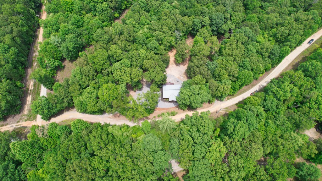 981 Kelly Ridge Drive Blue Ridge, GA 30513 - Photo 3 of 42 Gallery Image 3