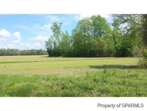 3854 Rock Quarry Road Farmville, NC 27828 - Photo 4 of 9 Additional Photo