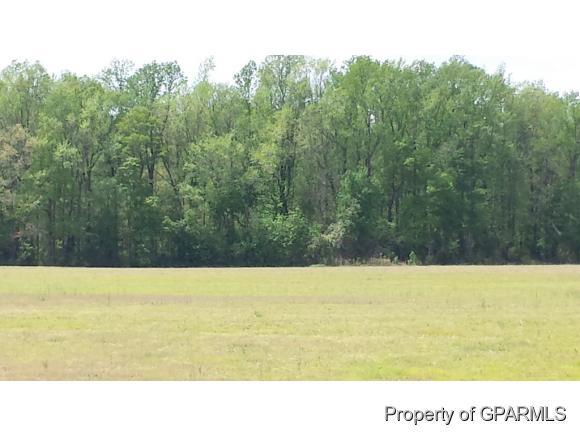 3854 Rock Quarry Road Farmville, NC 27828 - Photo 5 of 9 Additional Photo