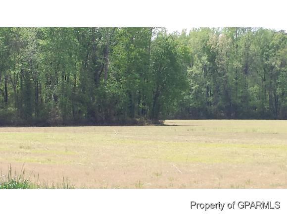 3854 Rock Quarry Road Farmville, NC 27828 - Photo 6 of 9 Additional Photo