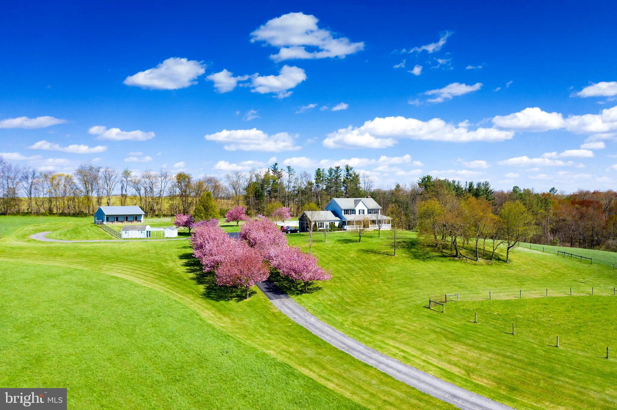 Welcome Home to 7779 Dollyhyde Road!