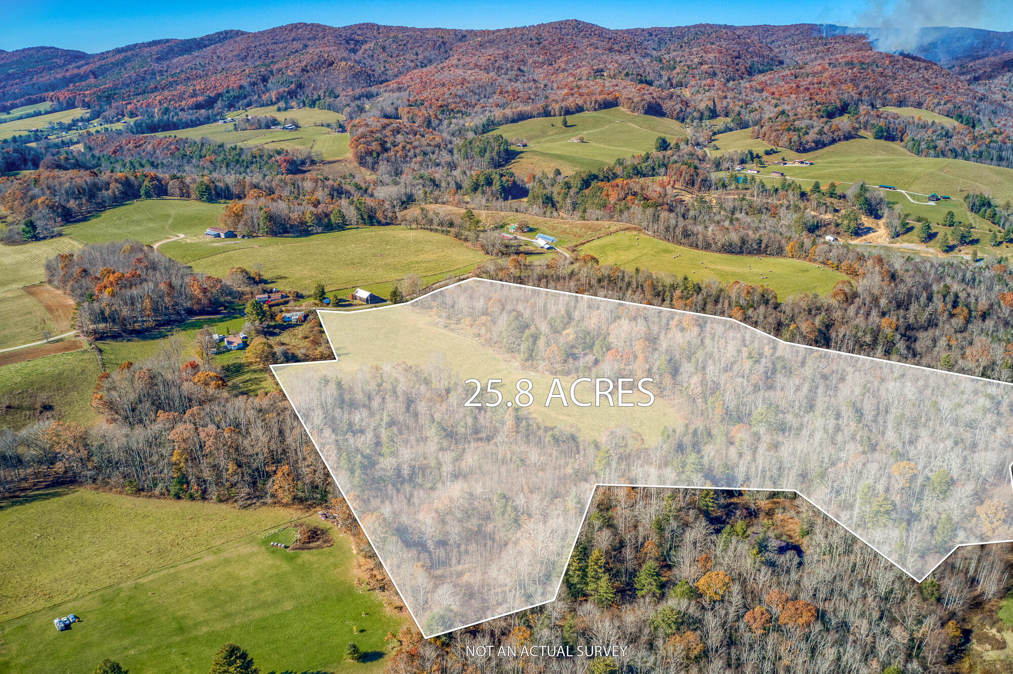 408 Roller Mill Road Shady Valley, TN 37688 - Photo 1 of 54 overlay_1-49