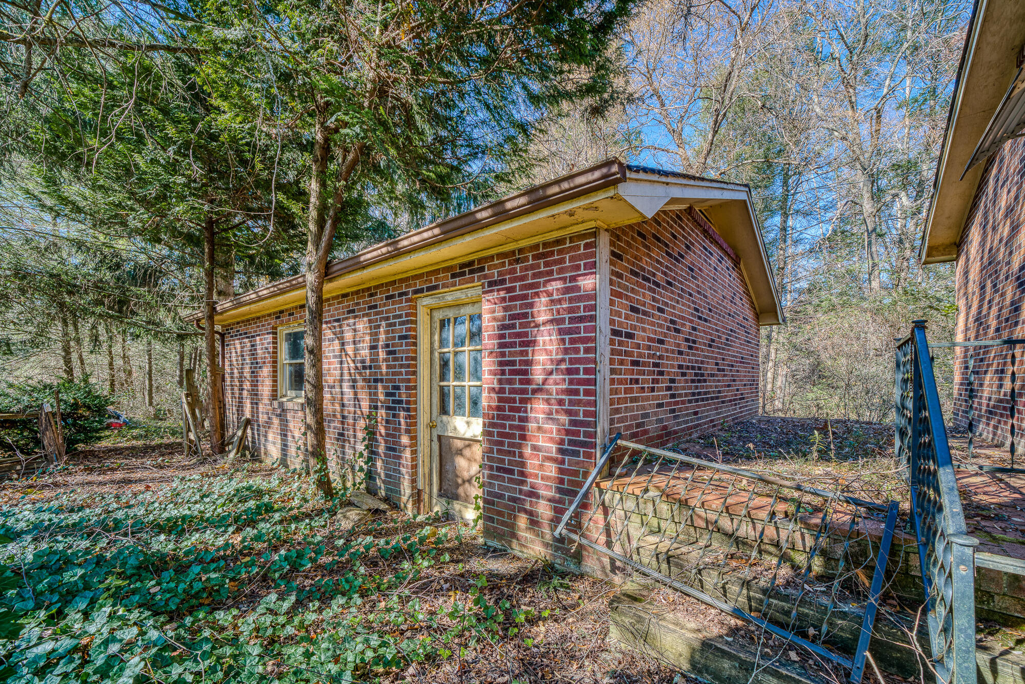 408 Roller Mill Road Shady Valley, TN 37688 - Photo 11 of 54 408RMR_DSC09154-7-7