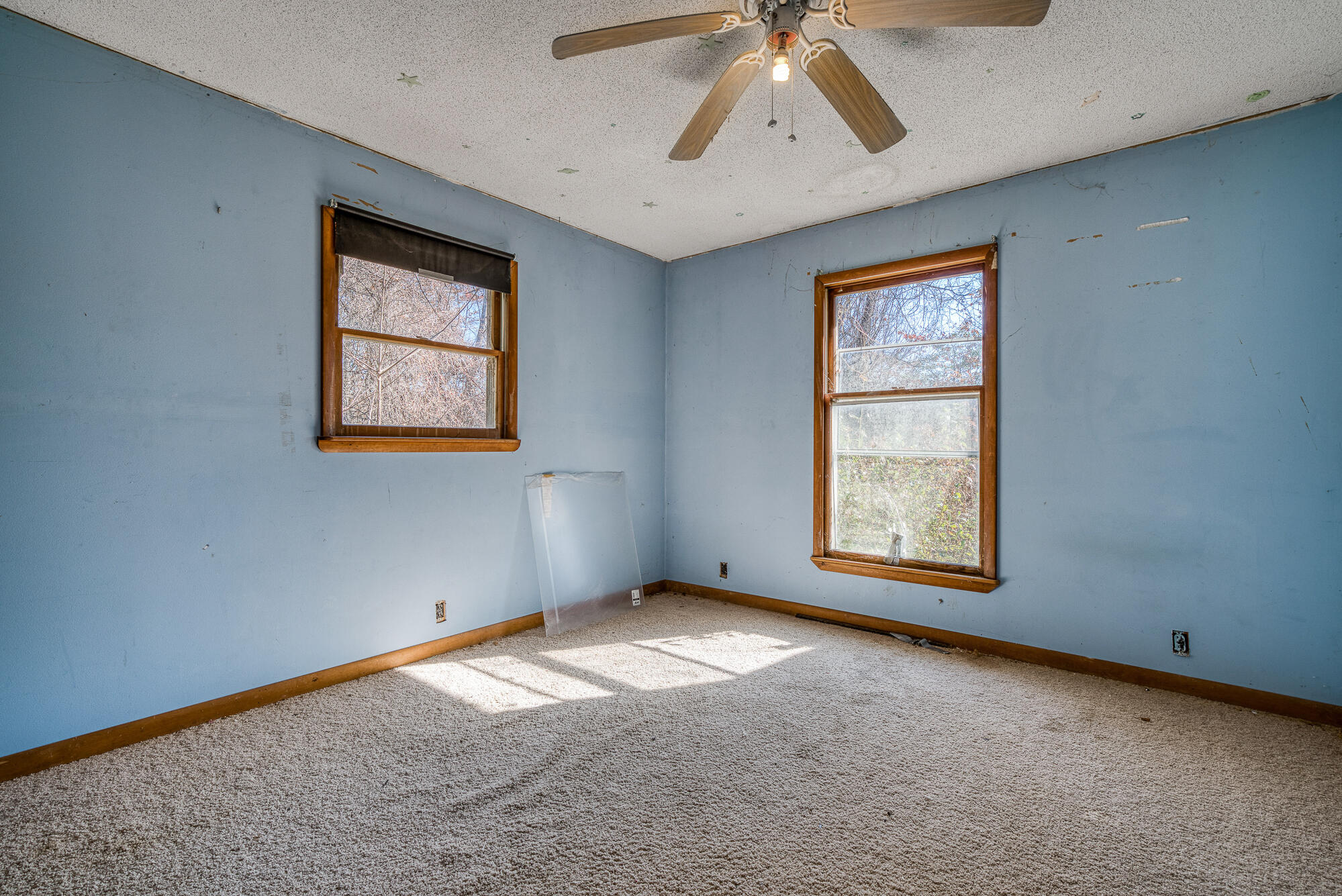 408 Roller Mill Road Shady Valley, TN 37688 - Photo 20 of 54 408RMR_DSC09205-16-16