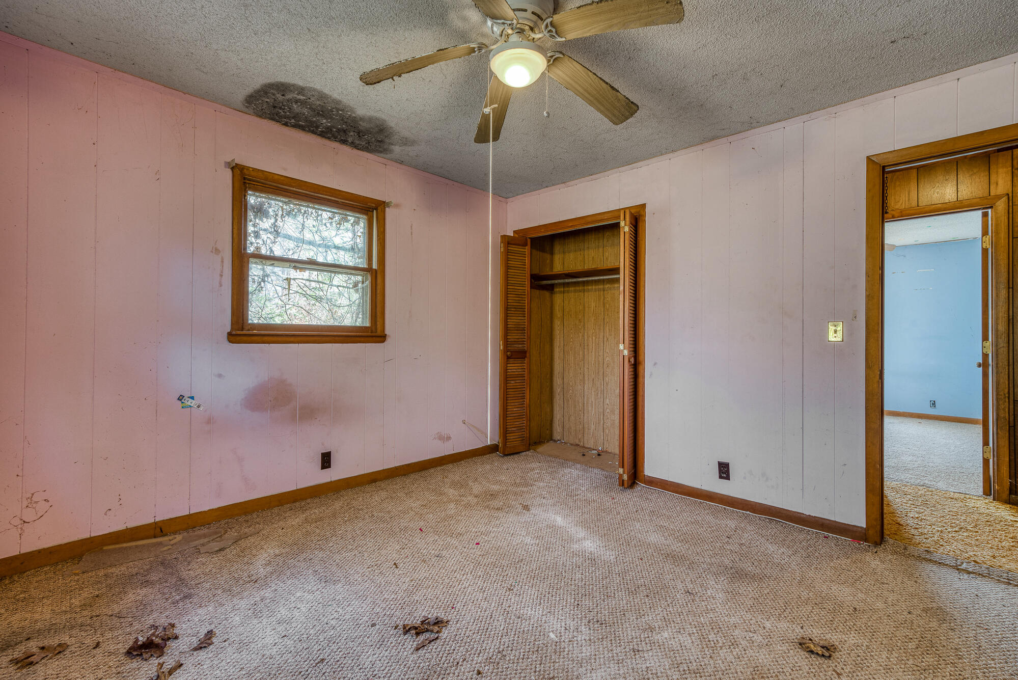 408 Roller Mill Road Shady Valley, TN 37688 - Photo 23 of 54 408RMR_DSC09214-19-19