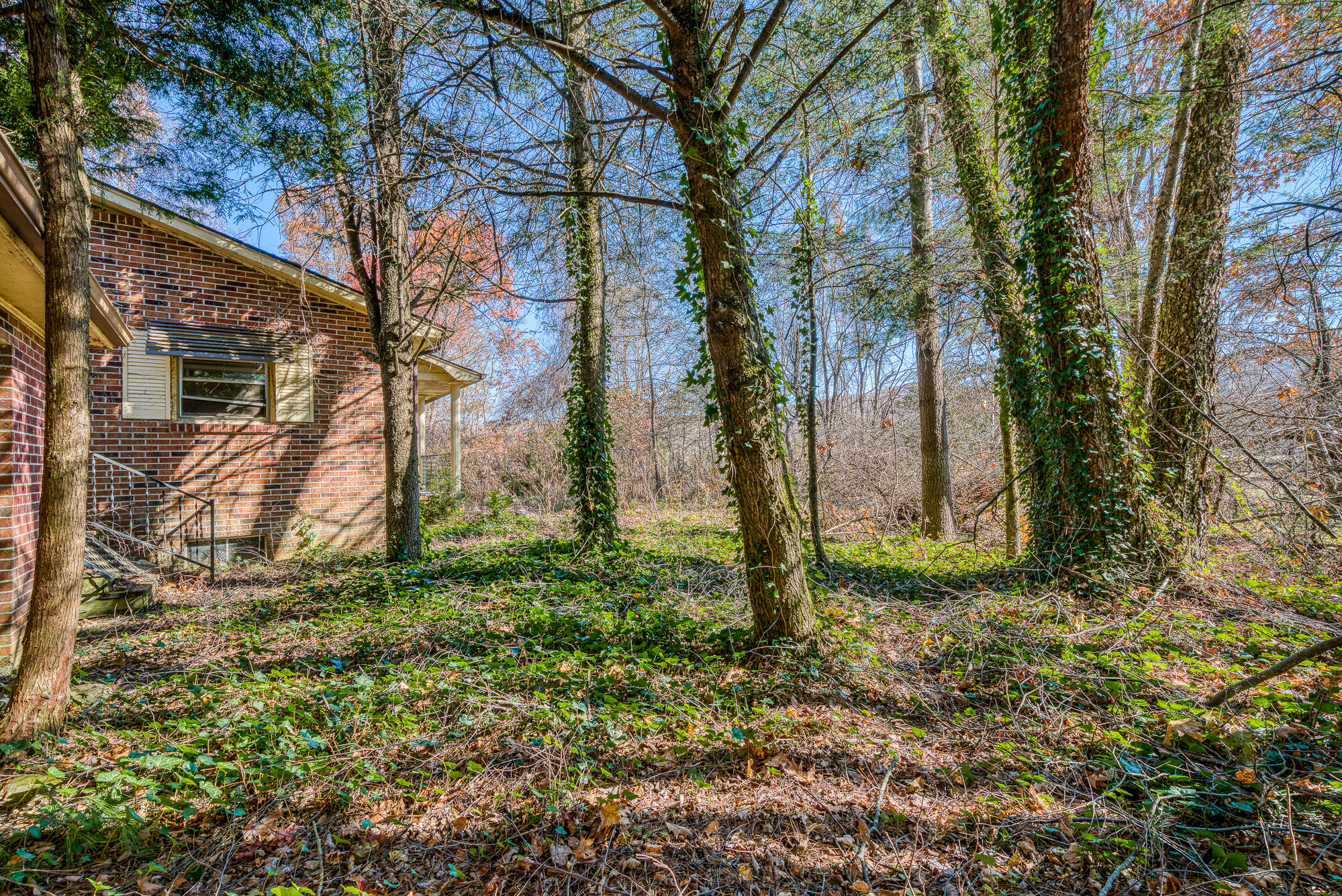 408 Roller Mill Road Shady Valley, TN 37688 - Photo 35 of 54 408RMR_DSC09262-31-31