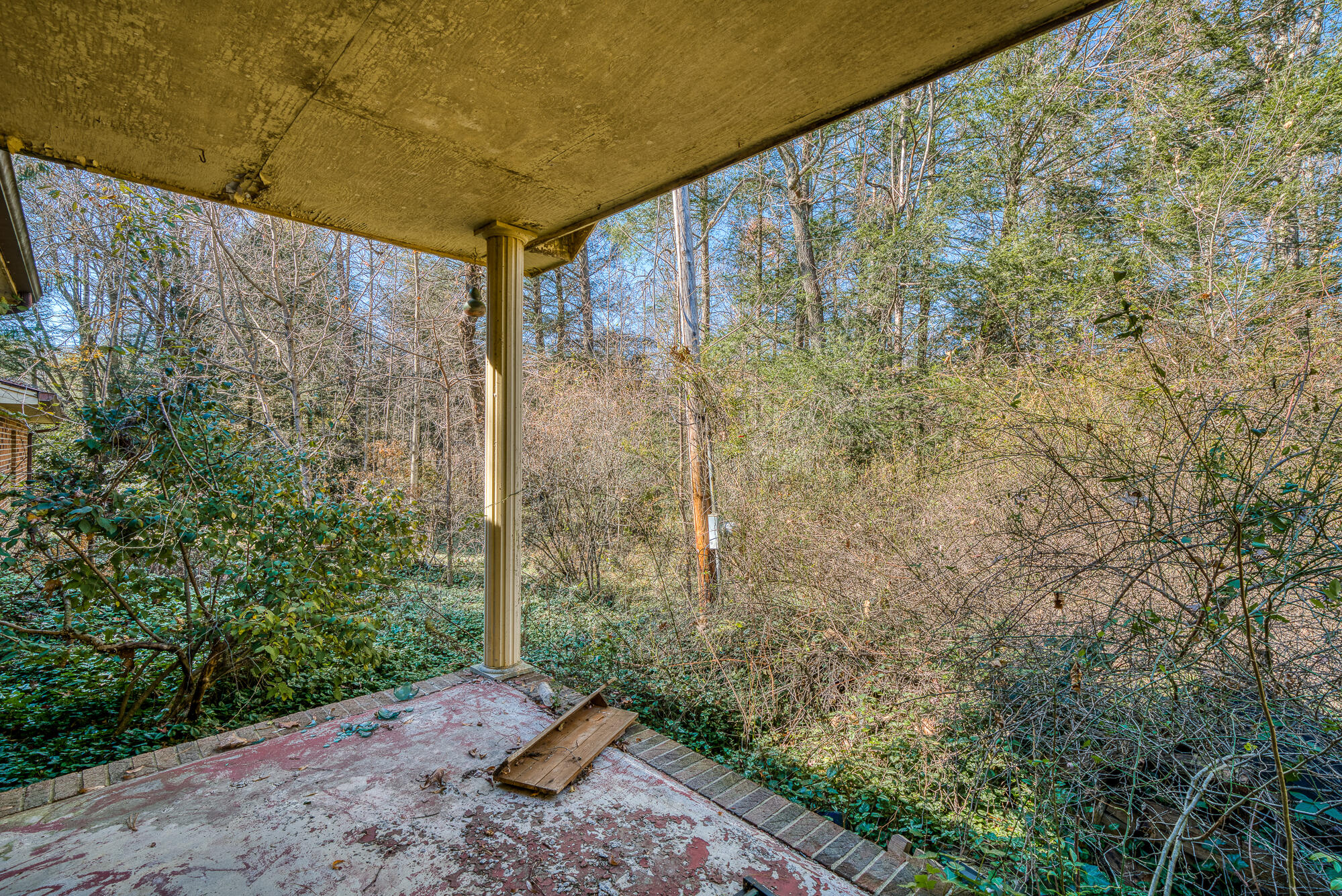 408 Roller Mill Road Shady Valley, TN 37688 - Photo 37 of 54 408RMR_DSC09271-33-33