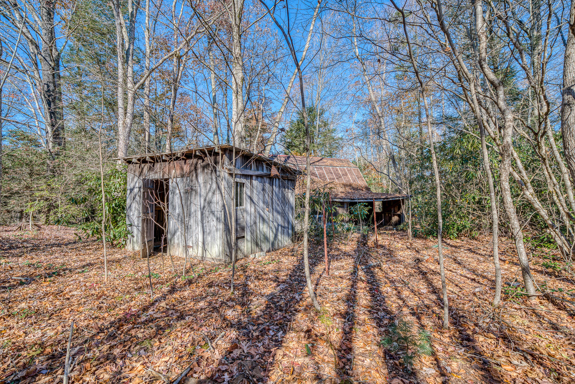 408 Roller Mill Road Shady Valley, TN 37688 - Photo 38 of 54 408RMR_DSC09274-34-34