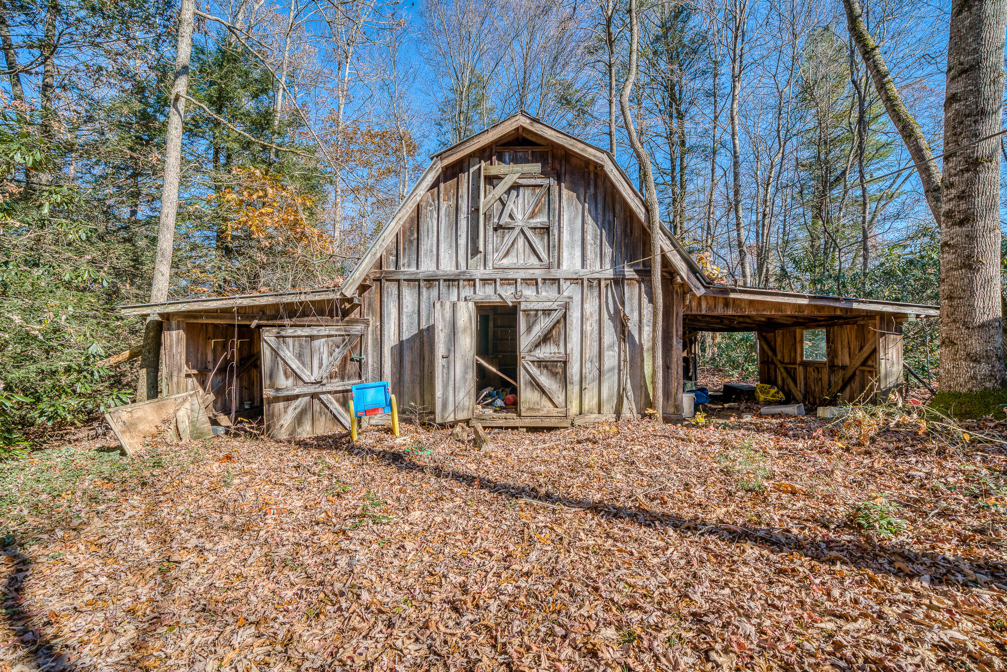 408 Roller Mill Road Shady Valley, TN 37688 - Photo 40 of 54 408RMR_DSC09280-36-36