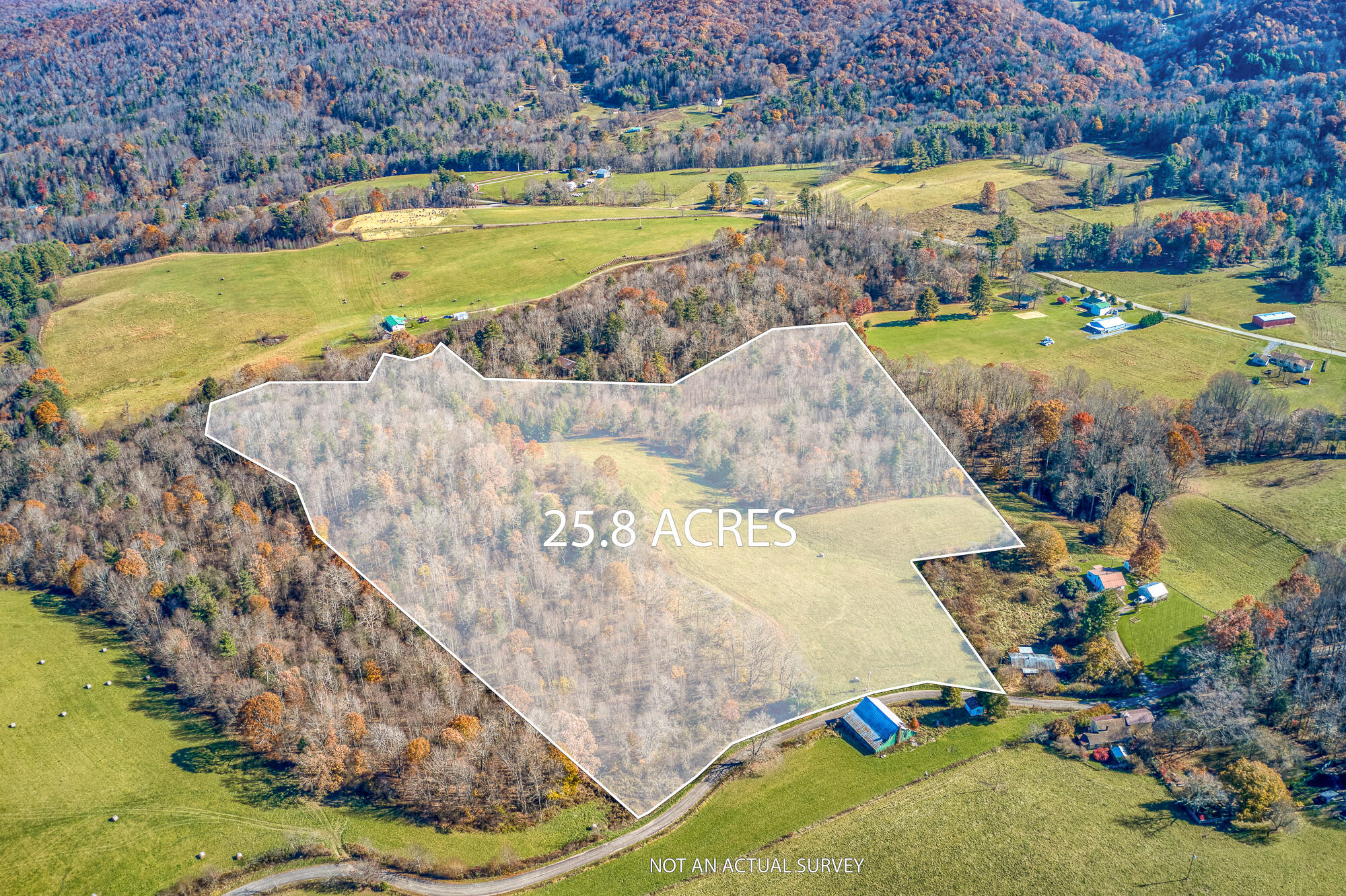 408 Roller Mill Road Shady Valley, TN 37688 - Photo 4 of 54 overlay_4-45