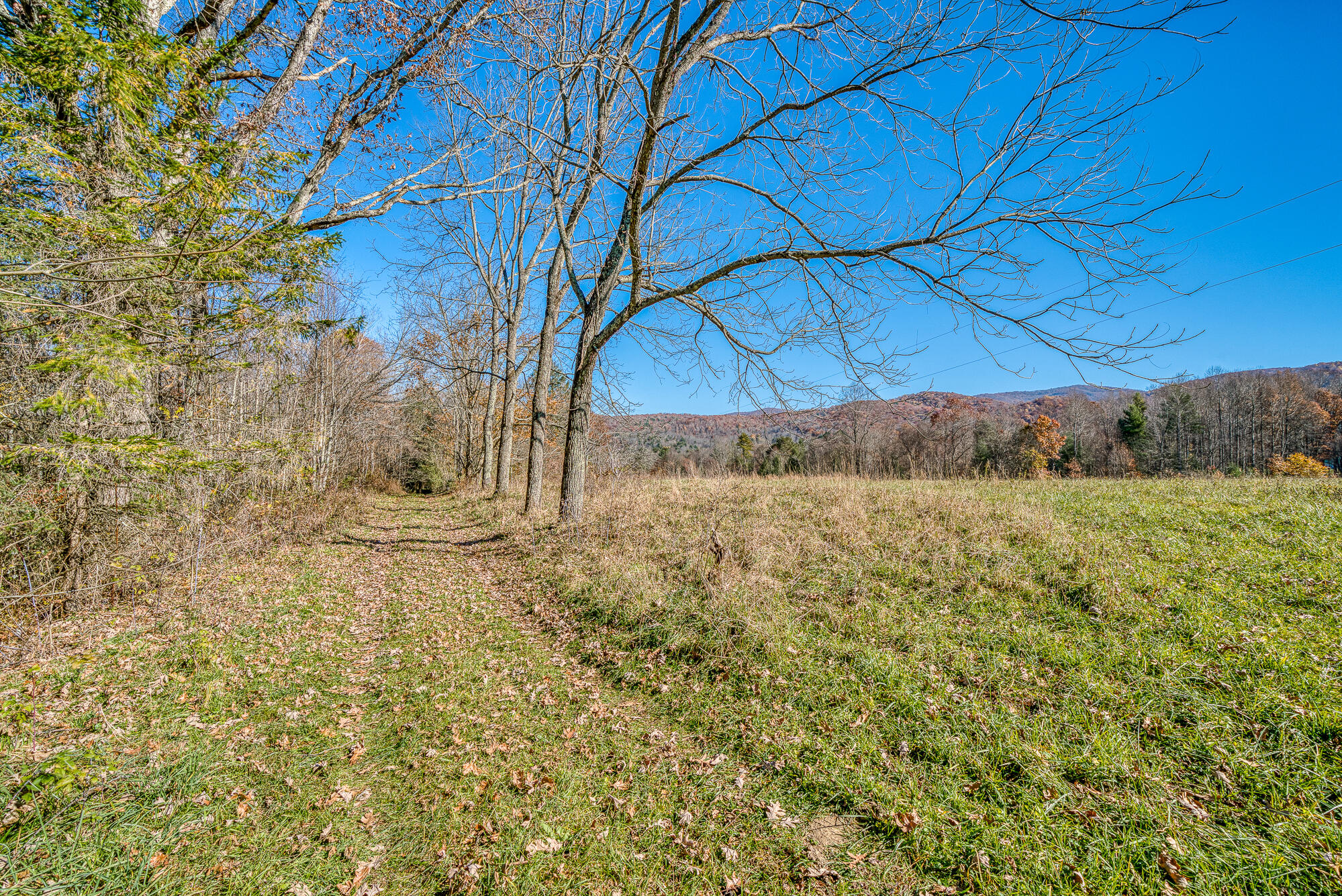 408 Roller Mill Road Shady Valley, TN 37688 - Photo 43 of 54 408RMR_DSC09301-39-39