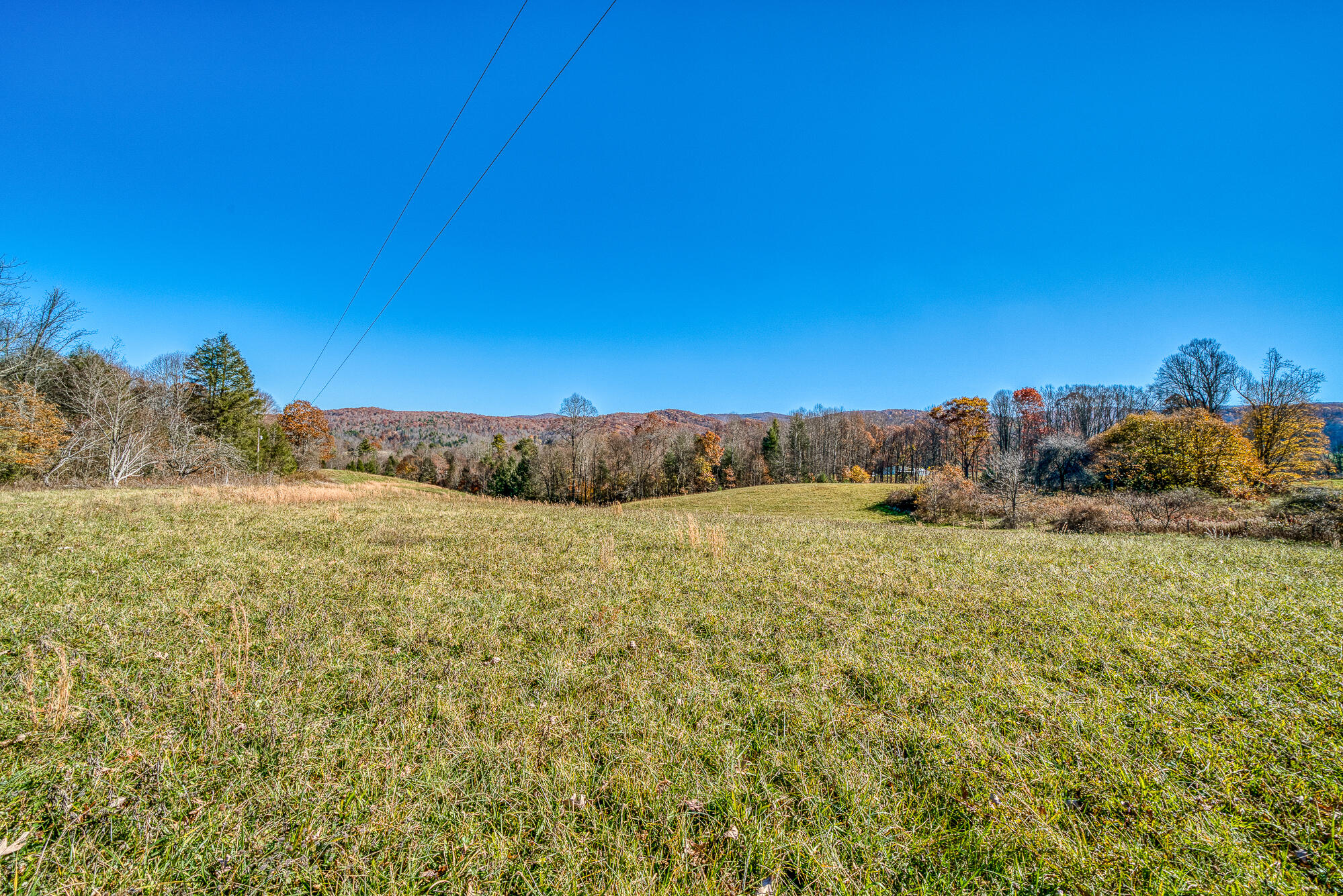 408 Roller Mill Road Shady Valley, TN 37688 - Photo 44 of 54 408RMR_DSC09304-40-40