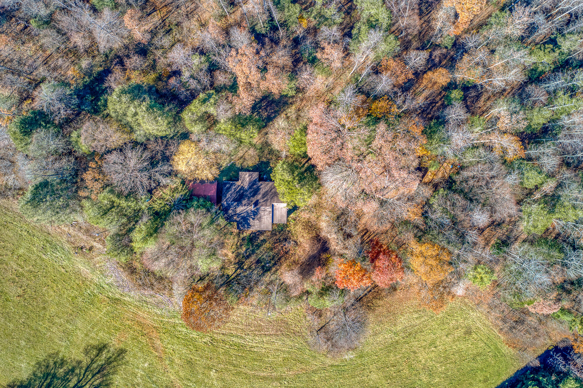 408 Roller Mill Road Shady Valley, TN 37688 - Photo 45 of 54 408RMR_DJI_0211-41-41
