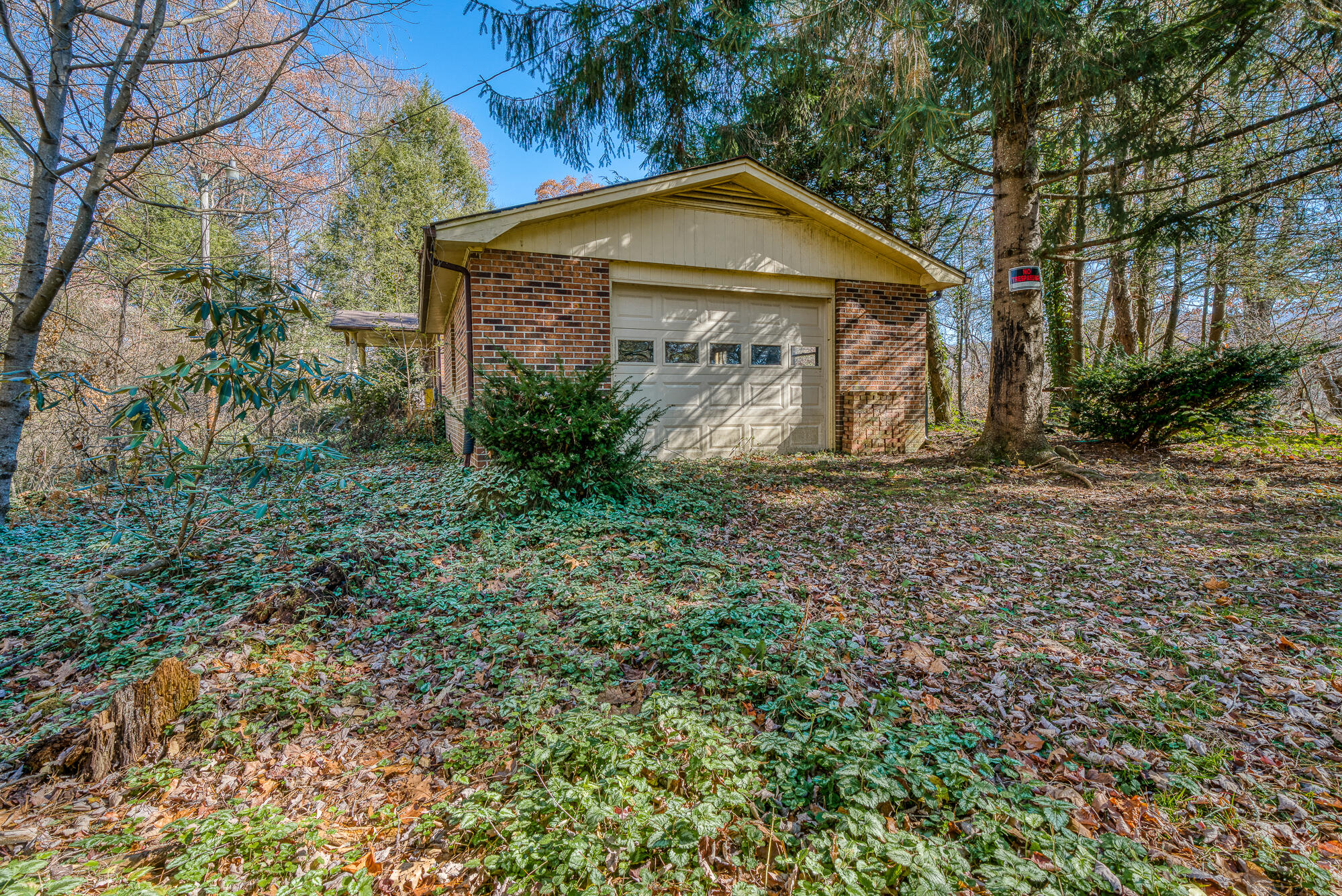 408 Roller Mill Road Shady Valley, TN 37688 - Photo 5 of 54 408RMR_DSC09133-1-1