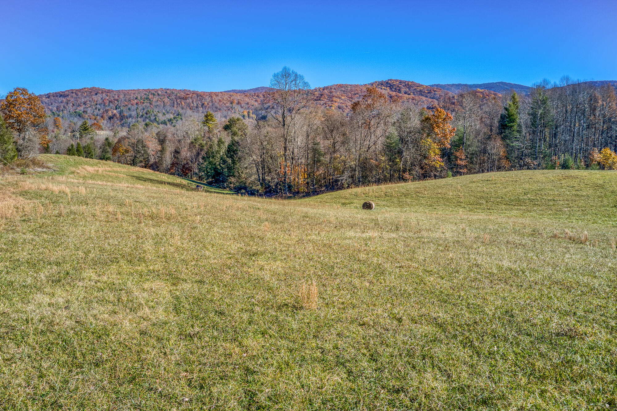 408 Roller Mill Road Shady Valley, TN 37688 - Photo 53 of 54 408RMR_DJI_0296-49-53