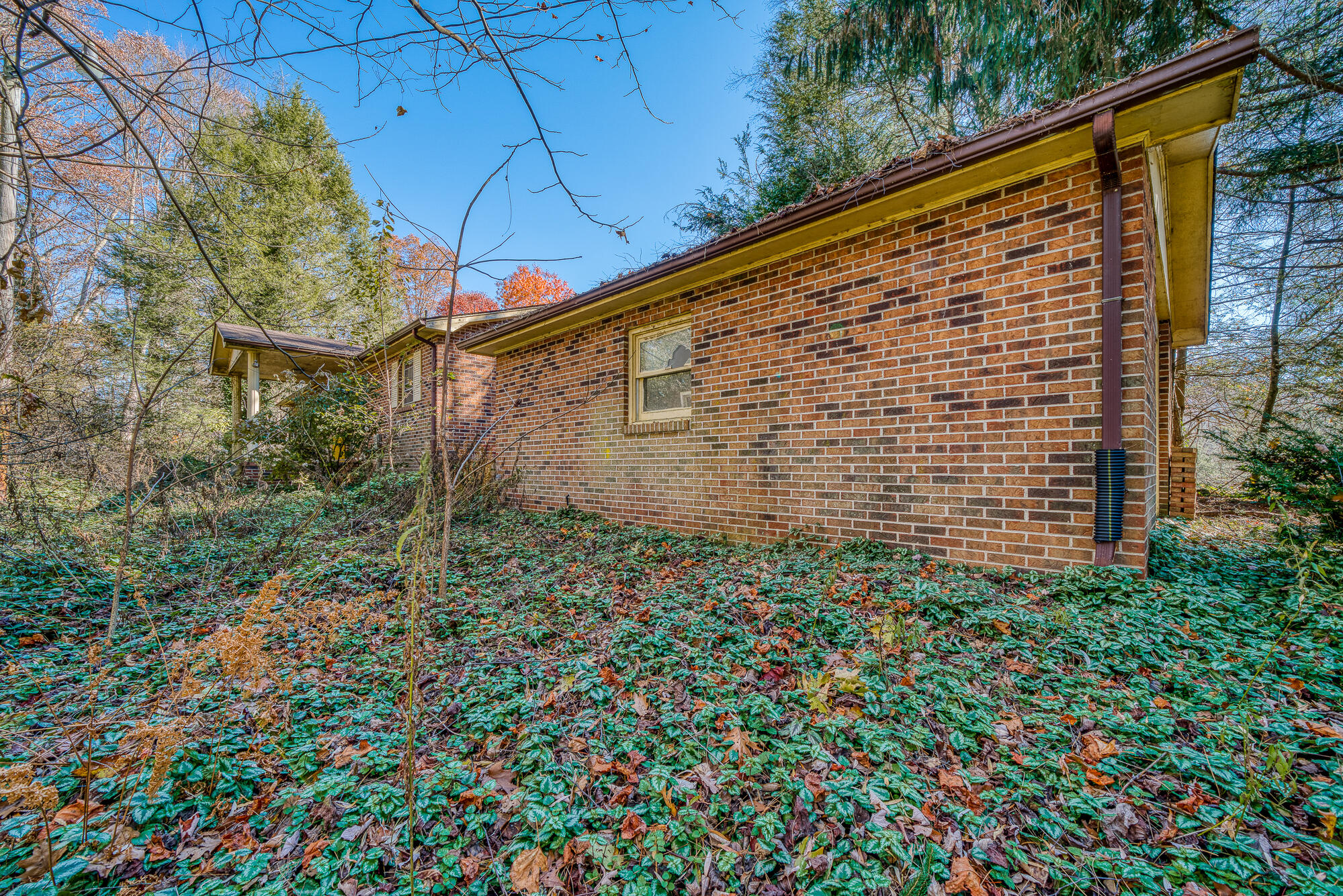 408 Roller Mill Road Shady Valley, TN 37688 - Photo 6 of 54 408RMR_DSC09136-2-2