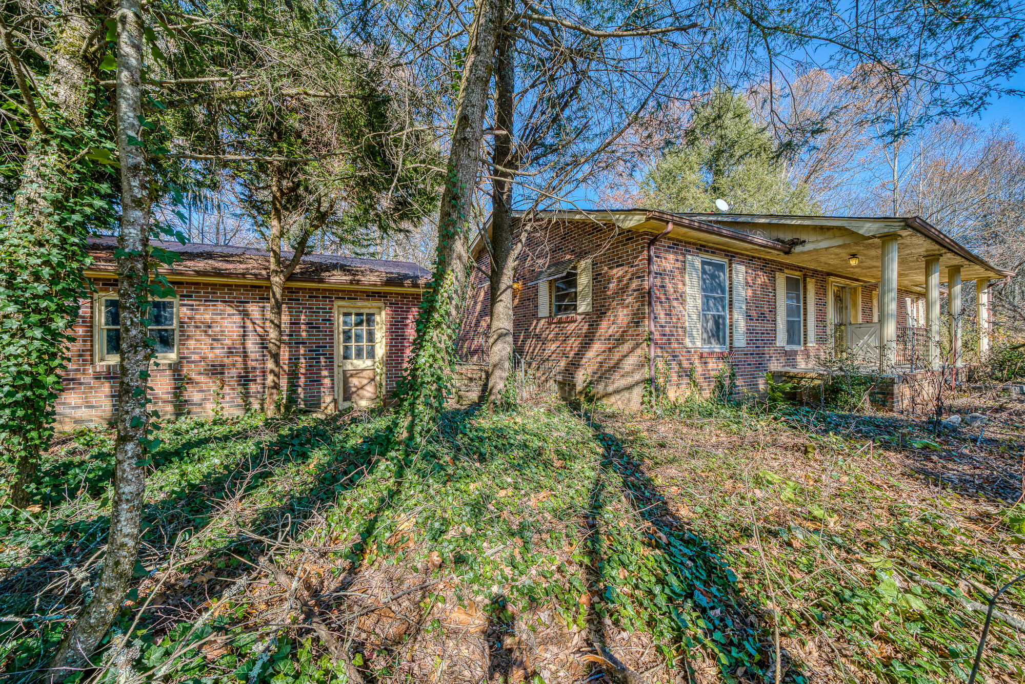 408 Roller Mill Road Shady Valley, TN 37688 - Photo 7 of 54 408RMR_DSC09139-3-3