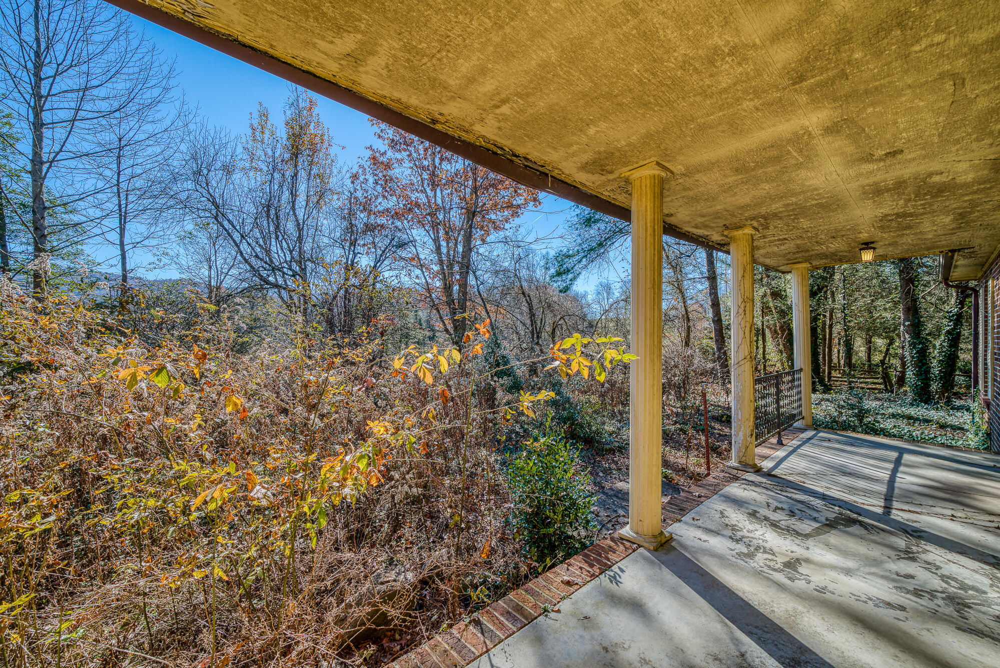 408 Roller Mill Road Shady Valley, TN 37688 - Photo 8 of 54 408RMR_DSC09145-4-4