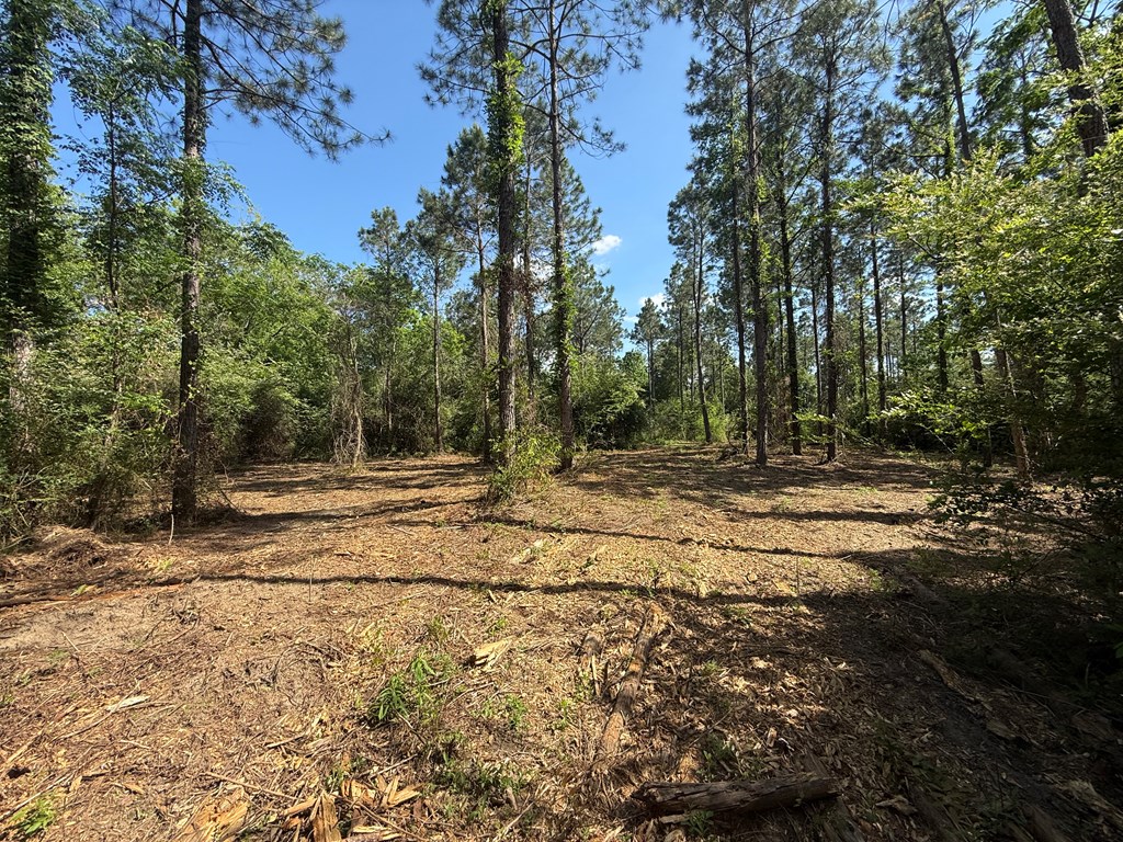 Lot 3 County Road Slocomb, AL 36375 - Photo 10 of 18