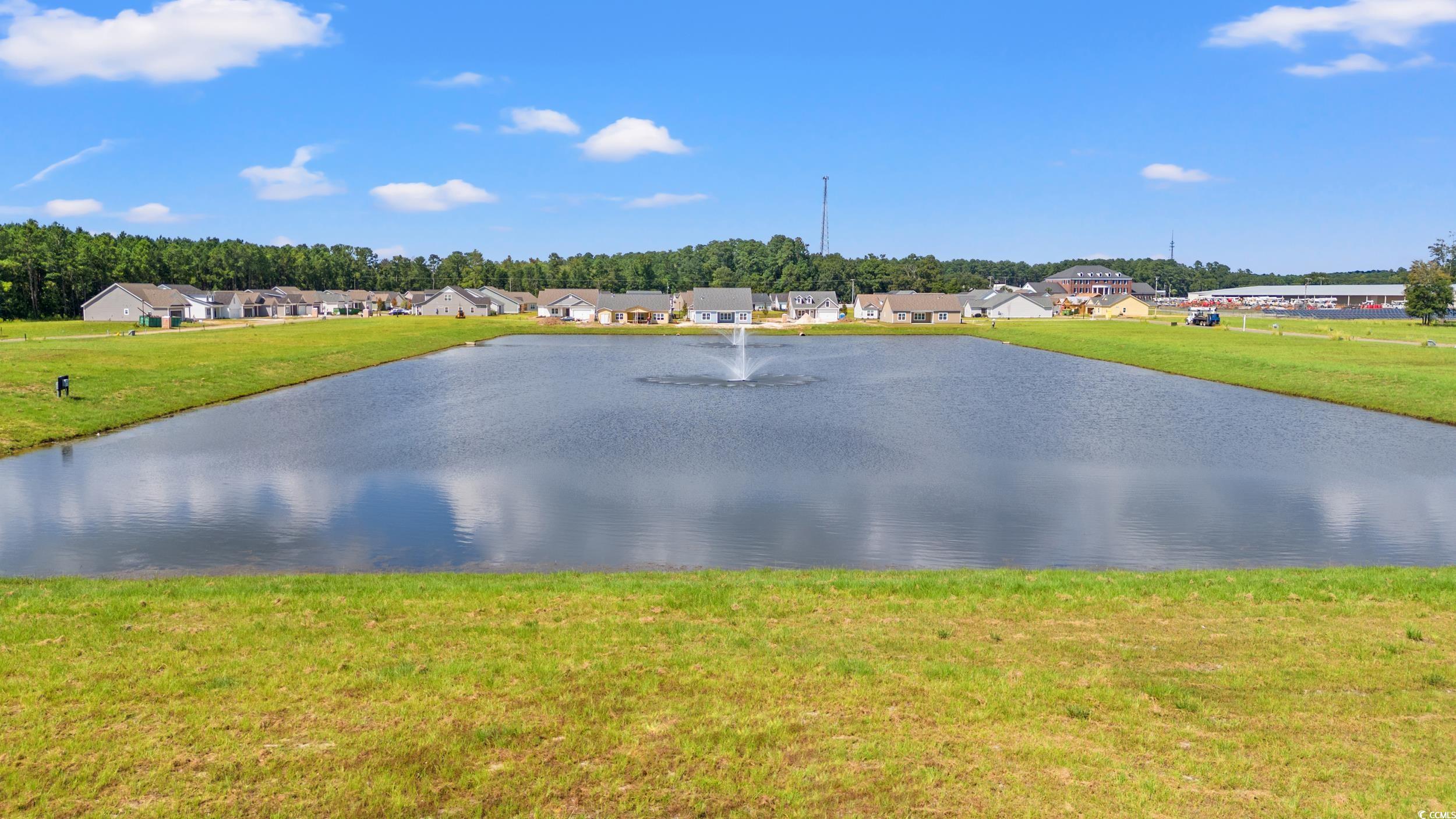 2815 Rivolet Drive Conway, SC 29526 - Photo 29 of 31
