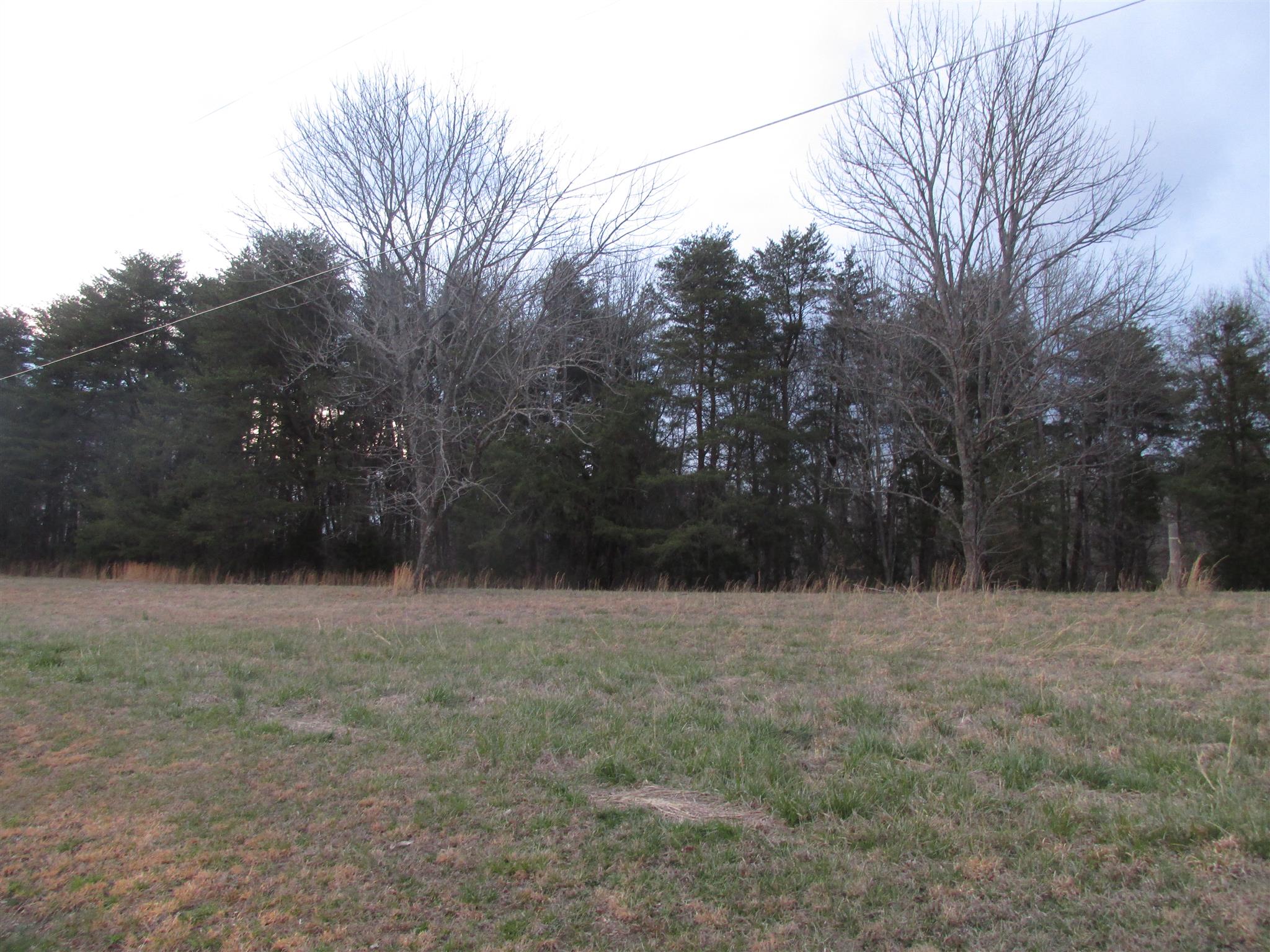 0 Mutt Road White Bluff, TN 37187 - Photo 1 of 10 Gallery Image 1