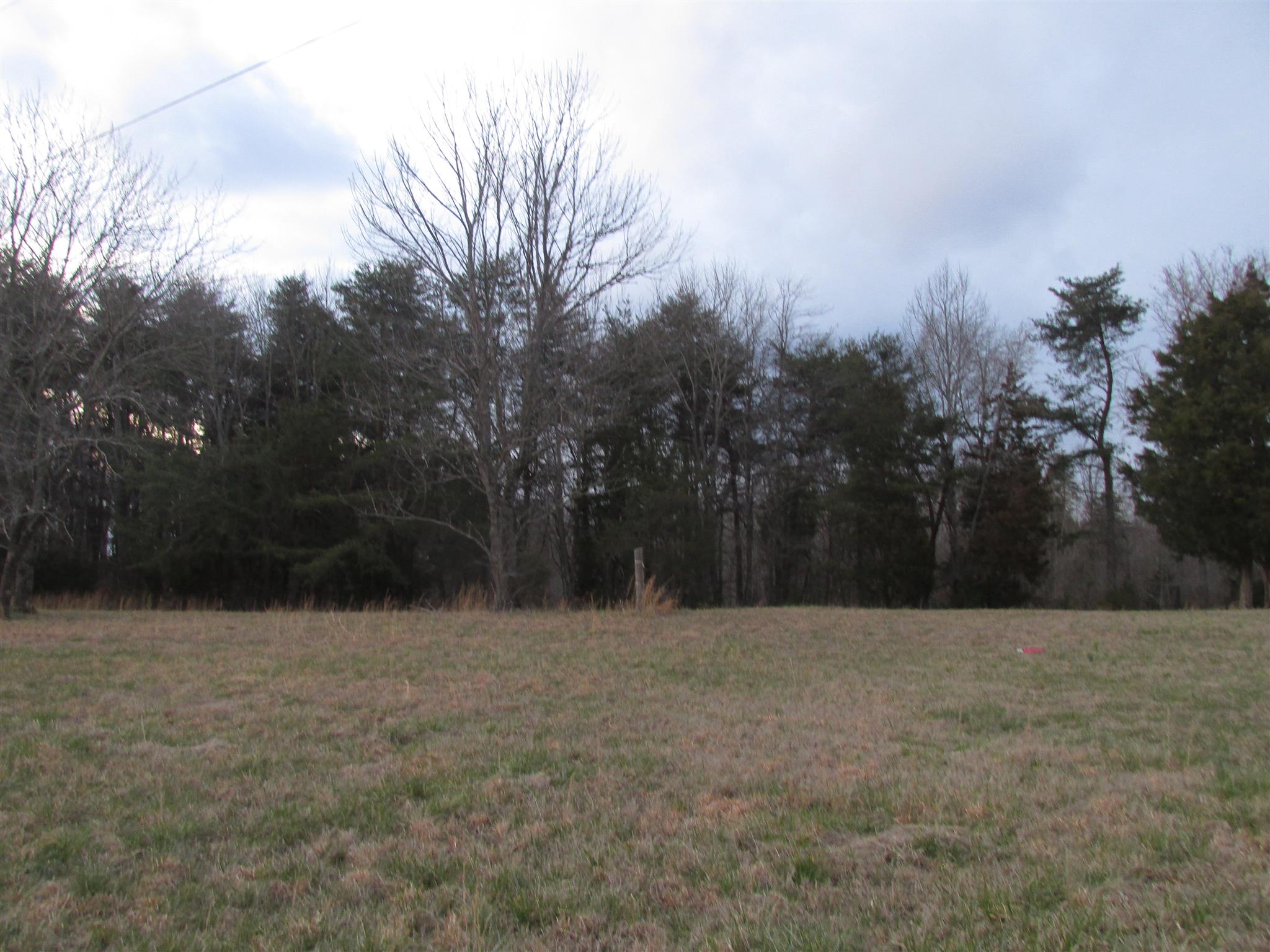 0 Mutt Road White Bluff, TN 37187 - Photo 2 of 10 Gallery Image 2