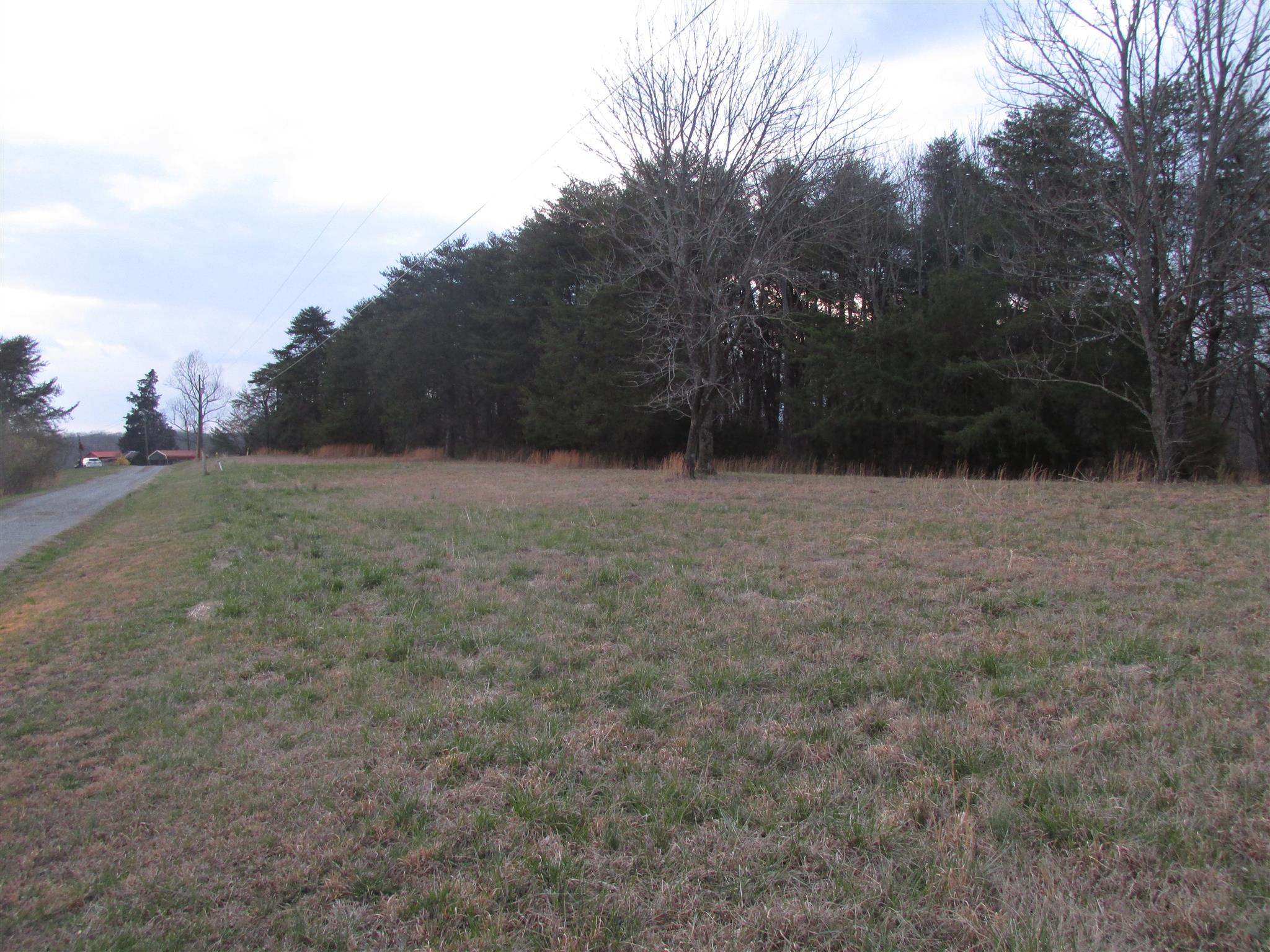 0 Mutt Road White Bluff, TN 37187 - Photo 3 of 10 Gallery Image 3