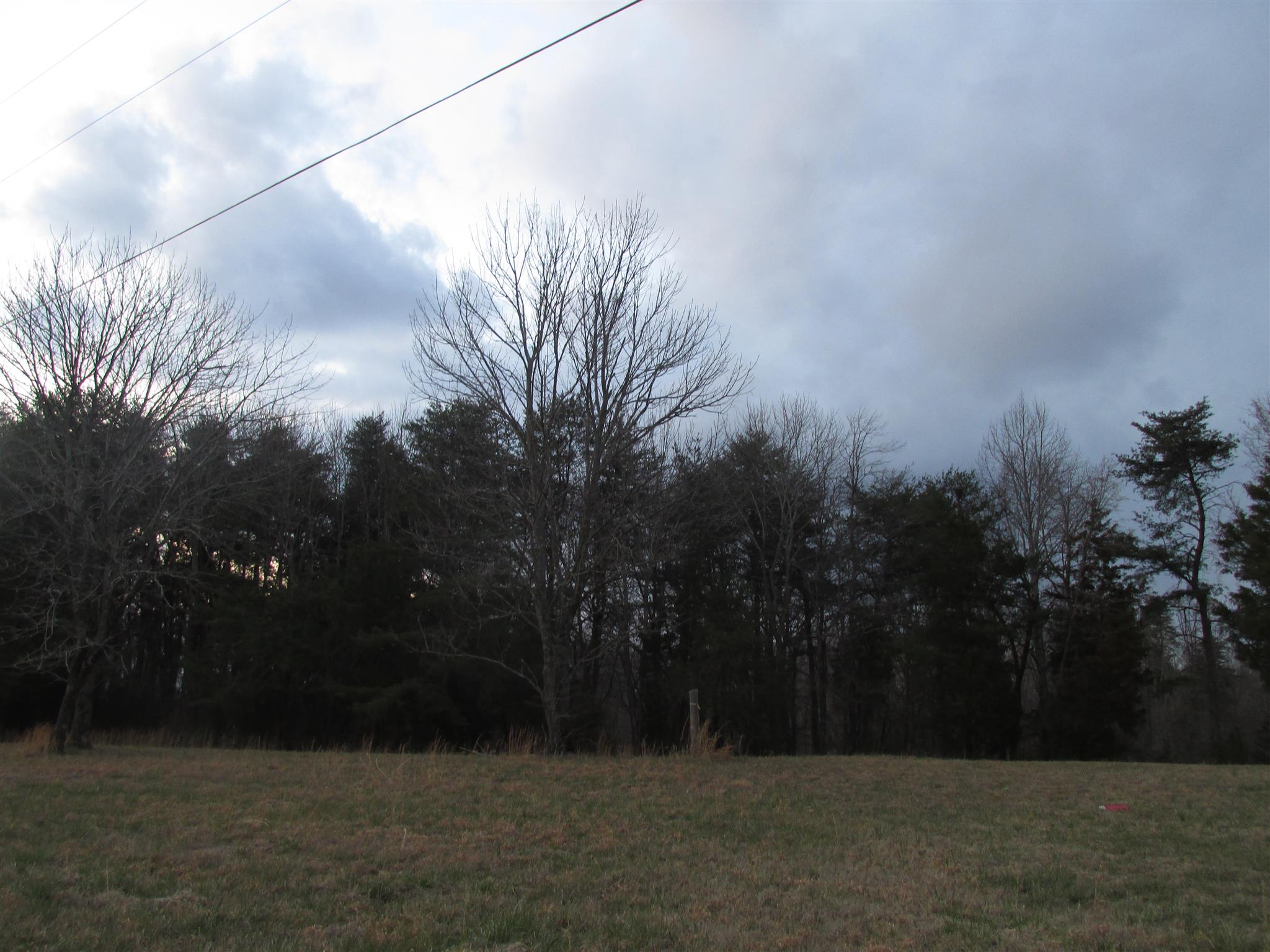 0 Mutt Road White Bluff, TN 37187 - Photo 4 of 10 Gallery Image 4