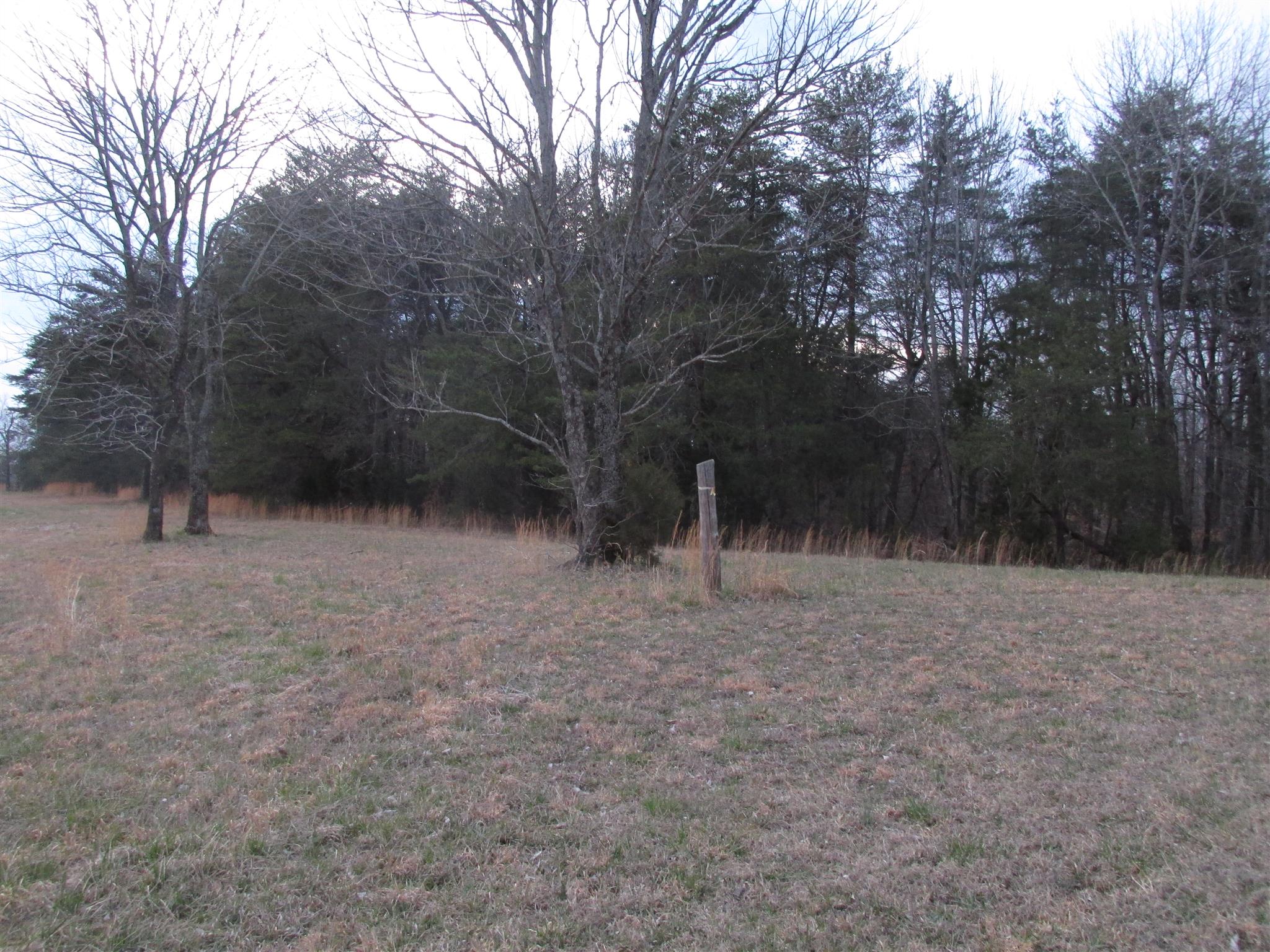0 Mutt Road White Bluff, TN 37187 - Photo 5 of 10 Gallery Image 5