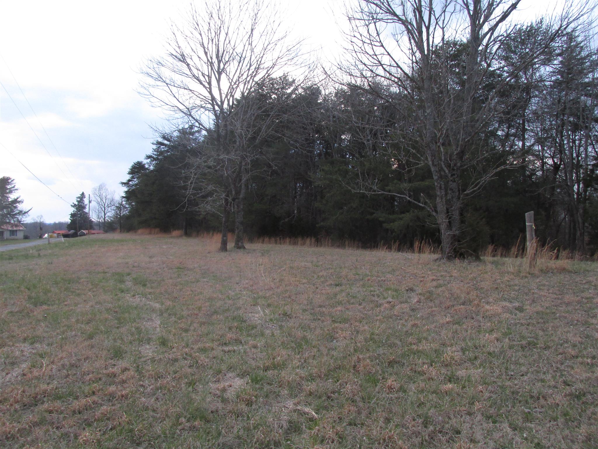 0 Mutt Road White Bluff, TN 37187 - Photo 6 of 10 Gallery Image 6