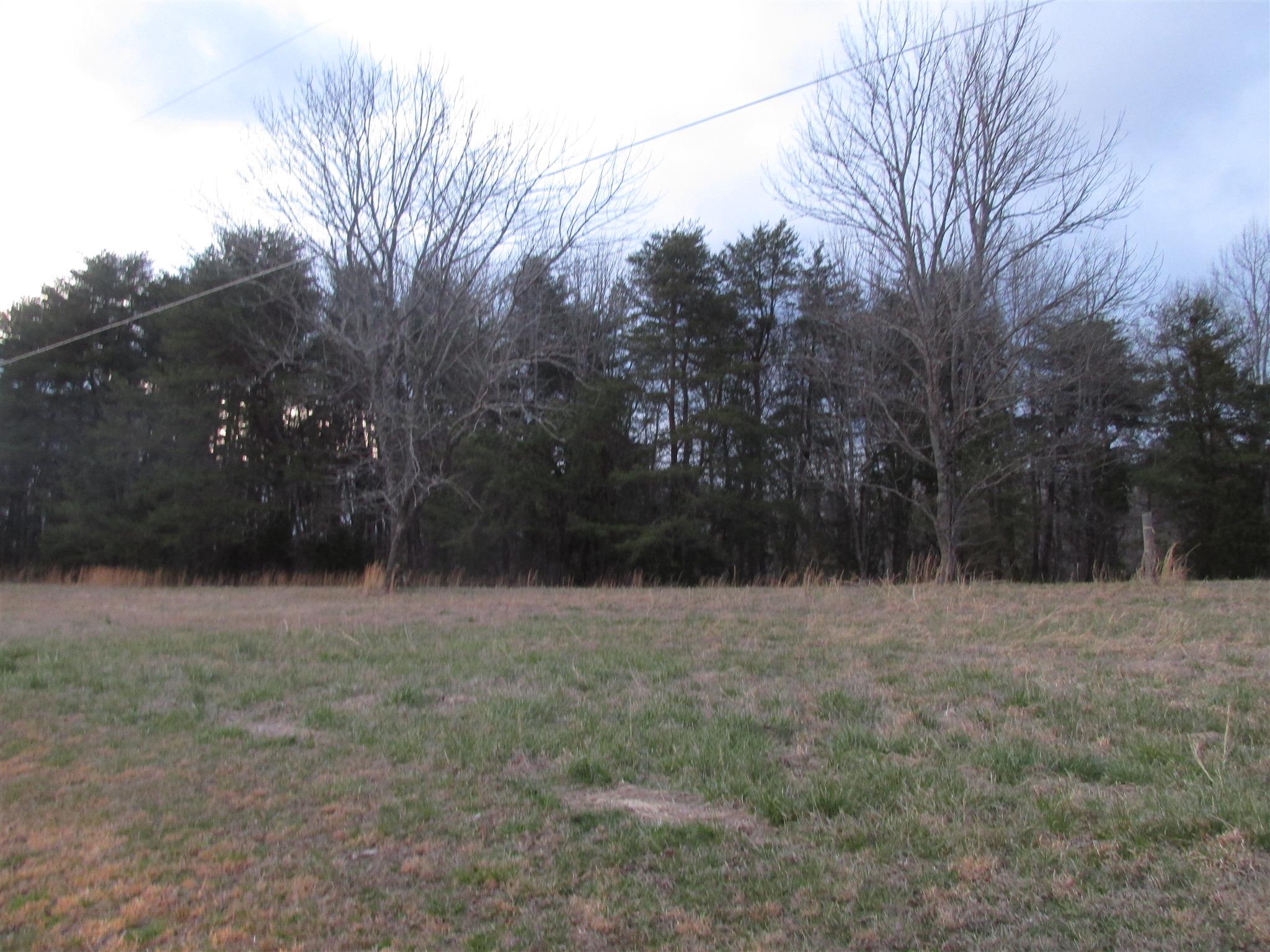0 Mutt Road White Bluff, TN 37187 - Photo 8 of 10 Gallery Image 8