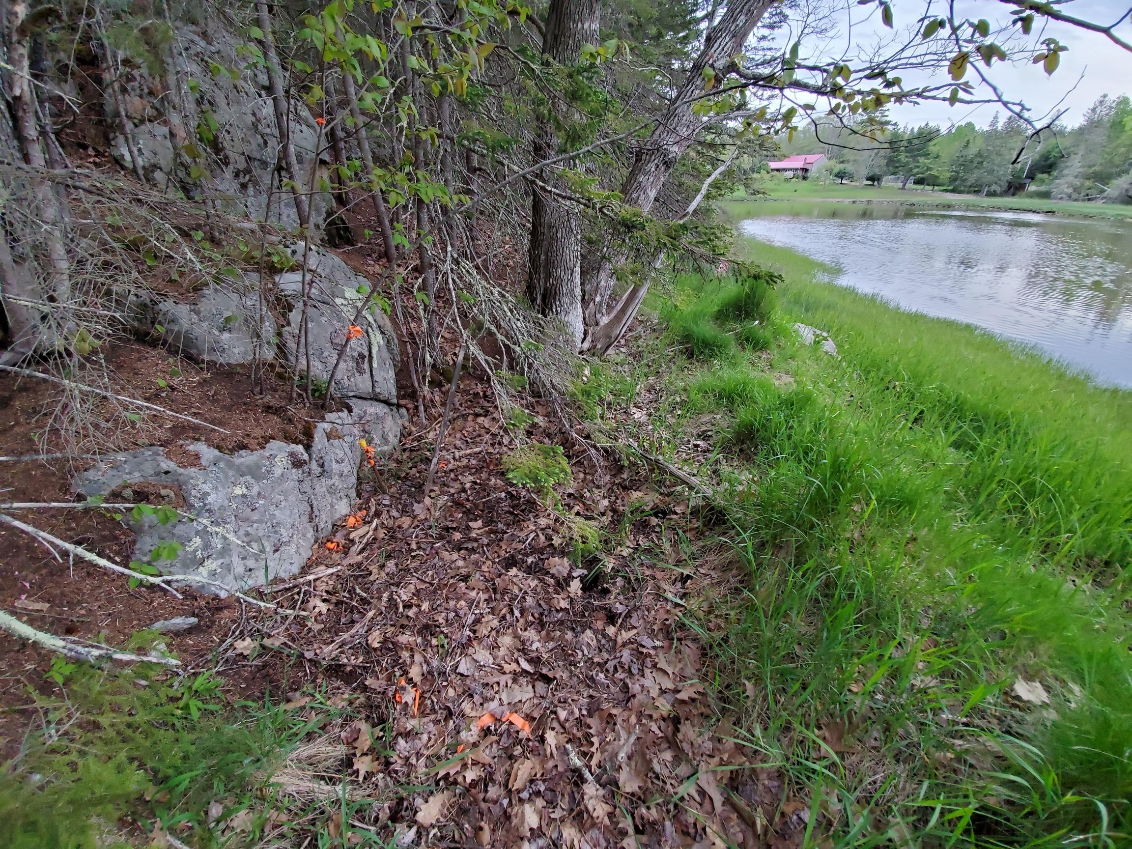 2 Robbins Point Road Gouldsboro, ME 04607 - Photo 22 of 31 rear eastern pin