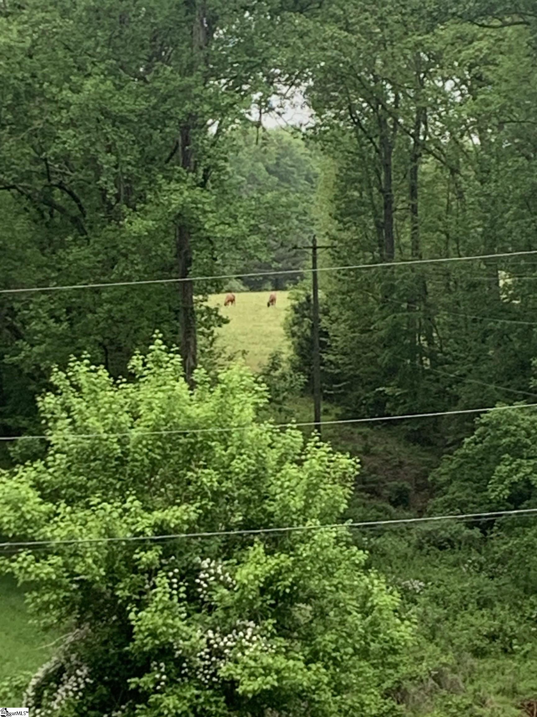 761 Pearson Town Road Moore, SC 29369 - Photo 35 of 35