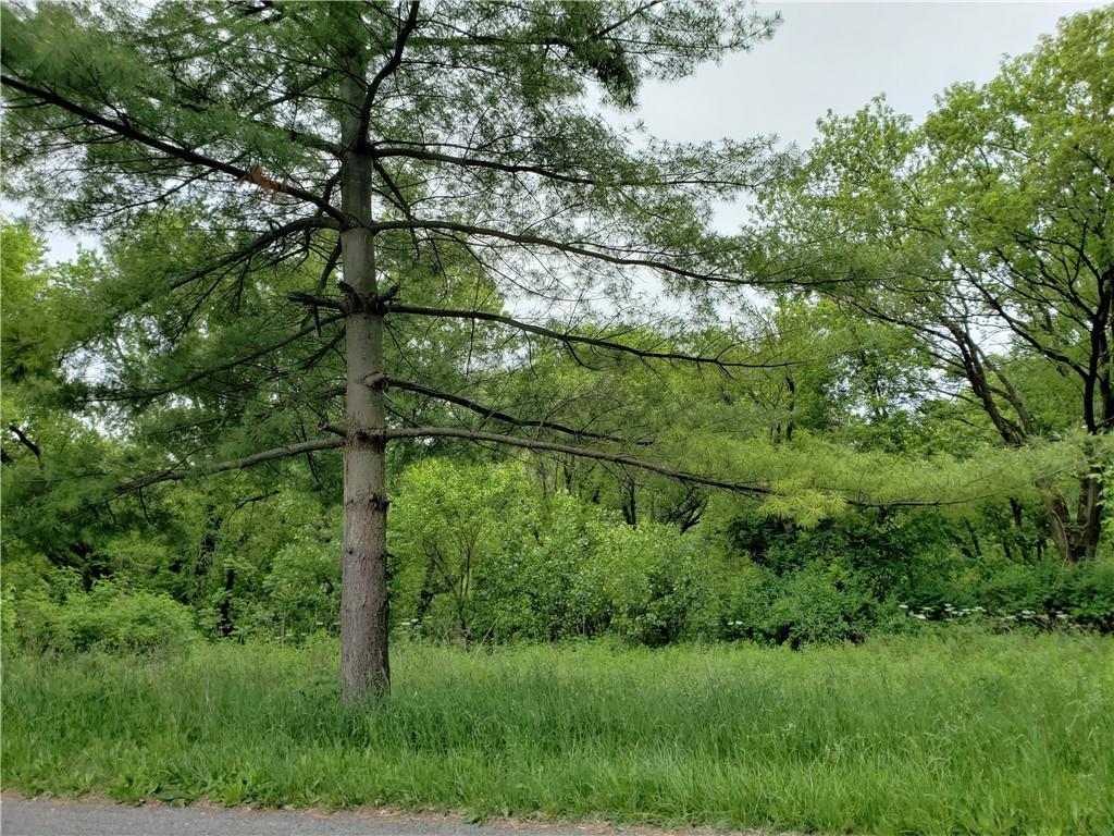 0 East Greening Road Chesterton, IN 46304 - Photo 14 of 18 Gallery Image 14