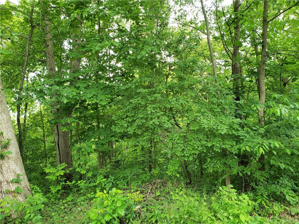 0 East Greening Road Chesterton, IN 46304 - Photo 4 of 18 Gallery Image 4