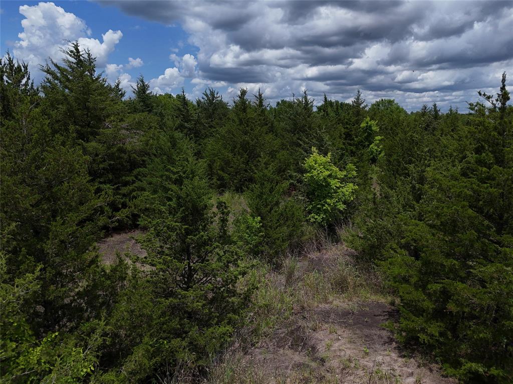 203 Fm 2675 Cooper, TX 75432 - Photo 9 of 17 a view of a city with lush green forest