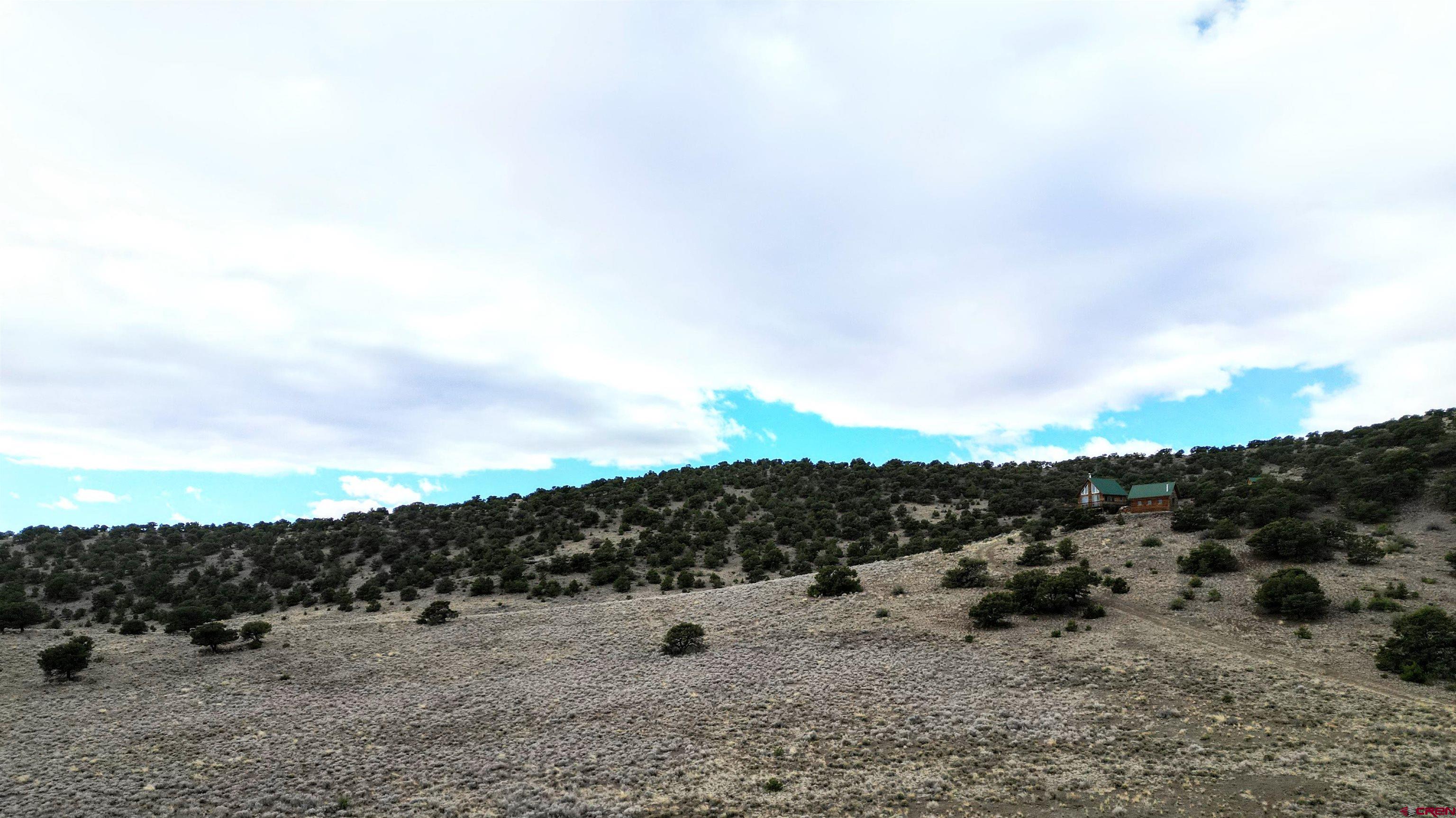 17 Ghost Mine Ranch Del Norte, CO 81132 - Photo 19 of 33 a view of a dry field with trees in background