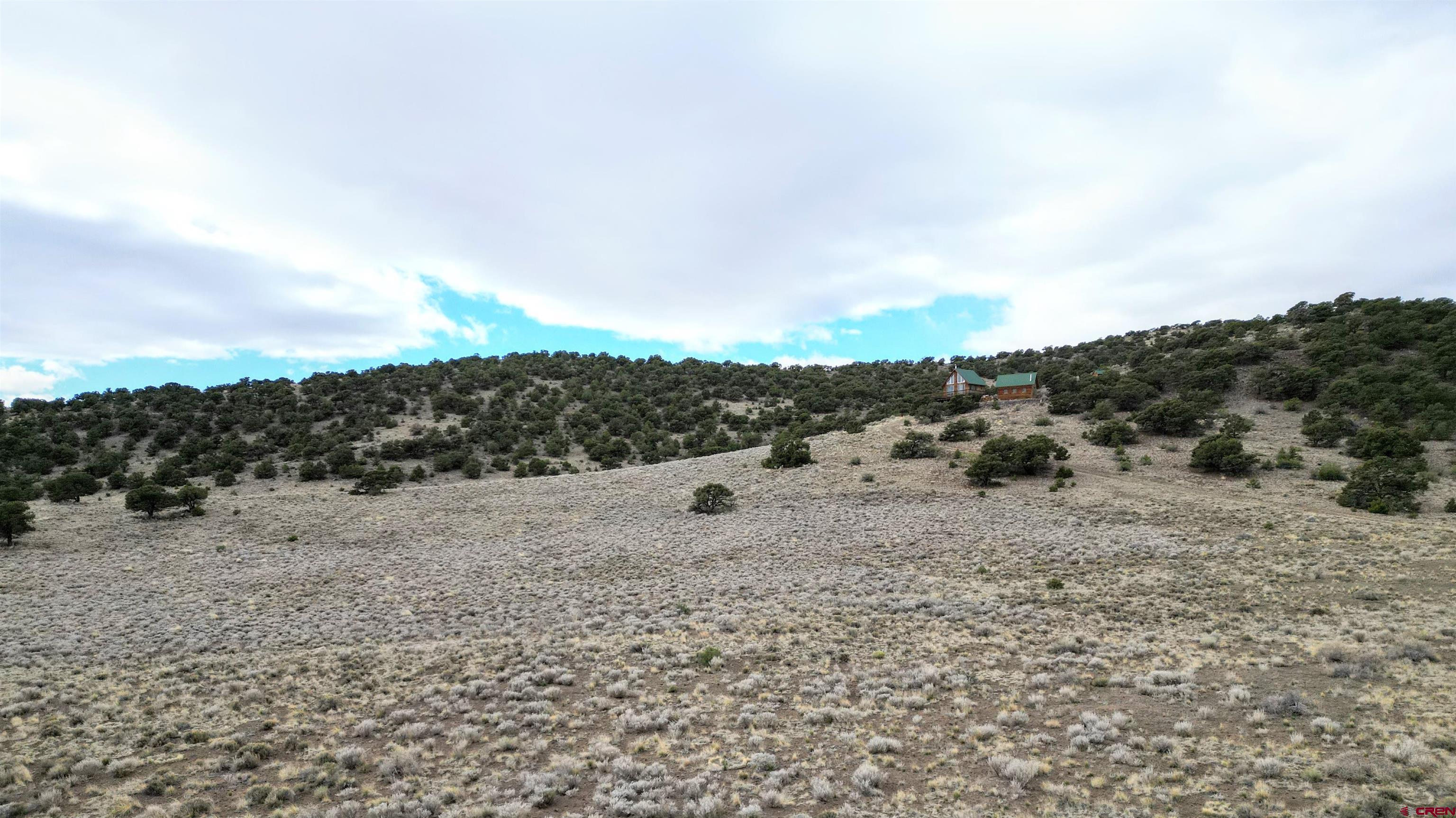 17 Ghost Mine Ranch Del Norte, CO 81132 - Photo 26 of 33 a view of a dry yard with trees in the background