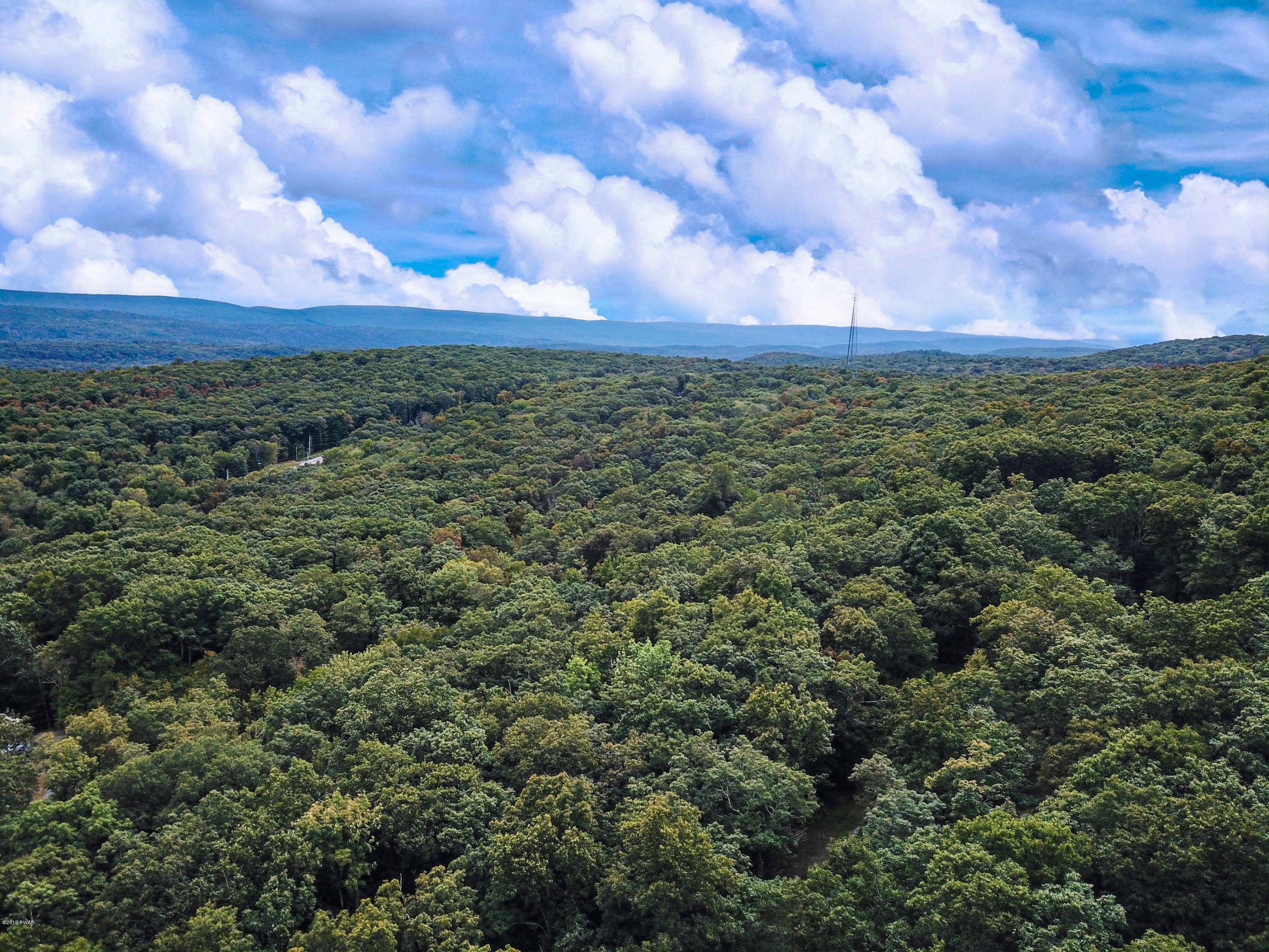 2313 Milford Road Bushkill, PA 18324 - Photo 2 of 21