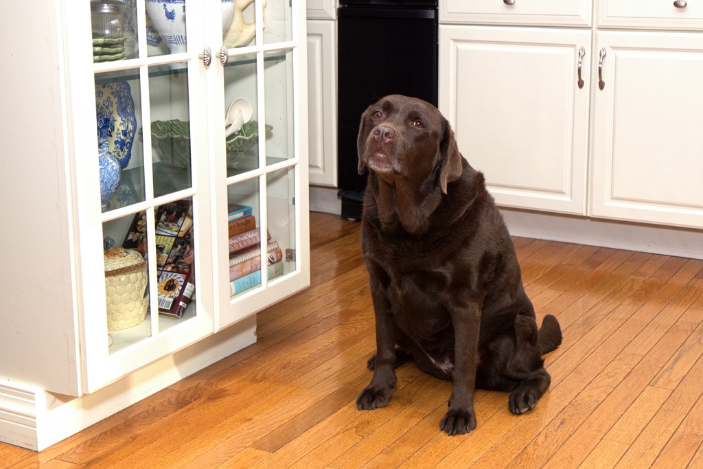 726 Jerusalem Road Cohasset, MA 02025 - Photo 20 of 20