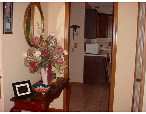 16 Vann Street Springfield, MA 01119 - Photo 3 of 11 a living room with furniture and a potted plant