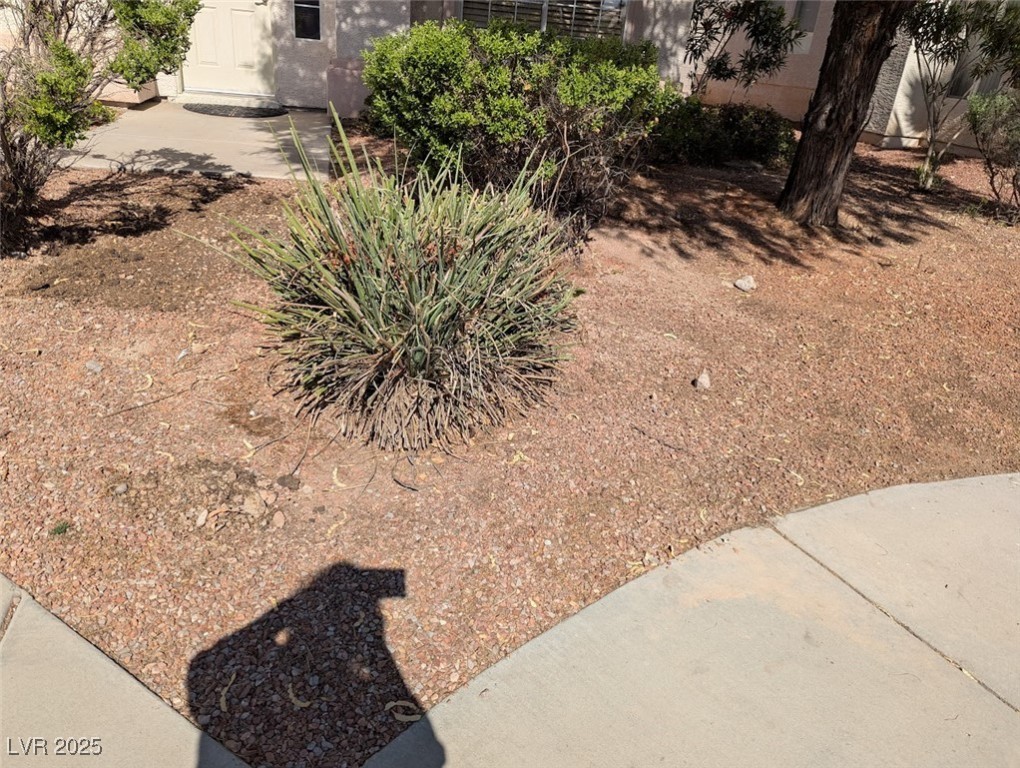 4777 Crakow Court Las Vegas, NV 89147 - Photo 49 of 49 View of yard