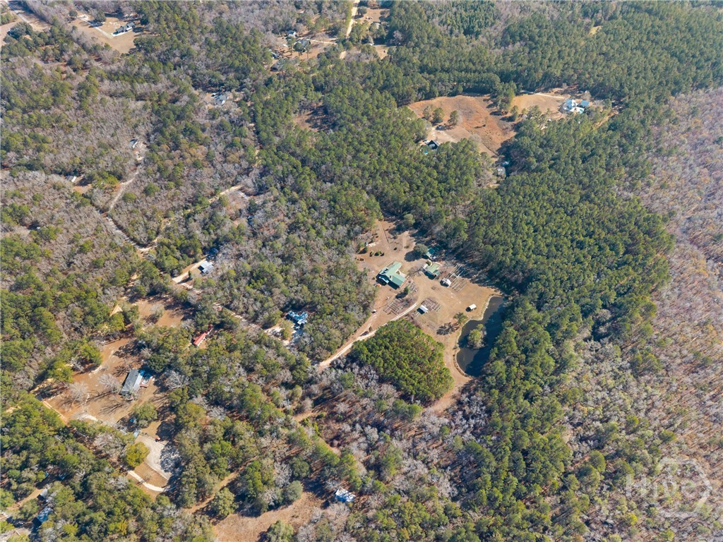 549 Kendricks Road Brooklet, GA 30415 - Photo 43 of 56 Gallery Image 43