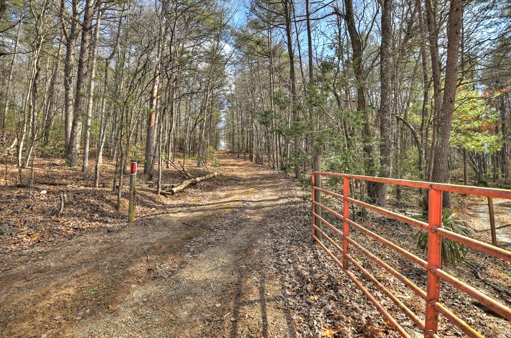 331 Chestnut Gap Road Blue Ridge, GA 30513 - Photo 43 of 44 Gallery Image 43