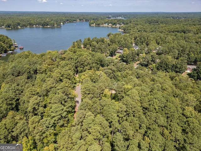 a view of a lake with a mountain in the background